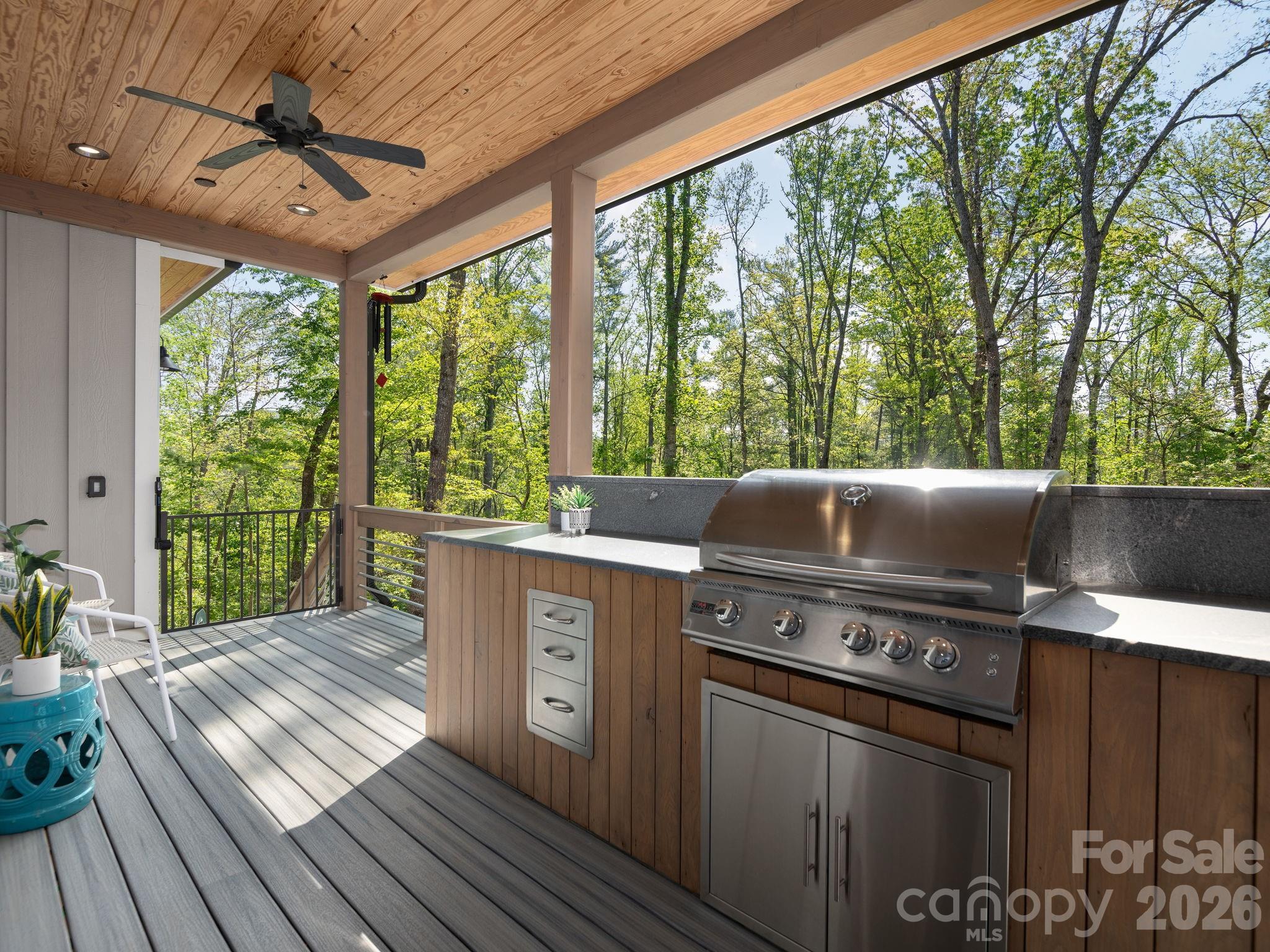 41 Hawberry Court — Asheville