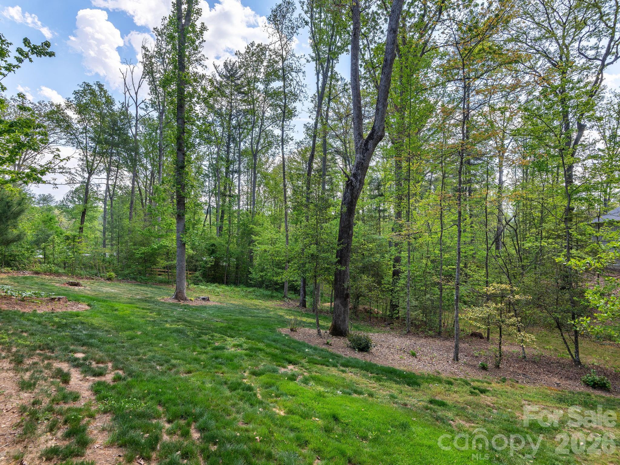 41 Hawberry Court — Asheville