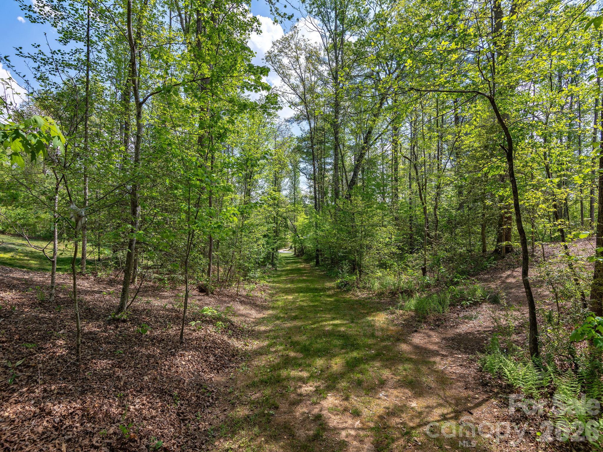 41 Hawberry Court — Asheville
