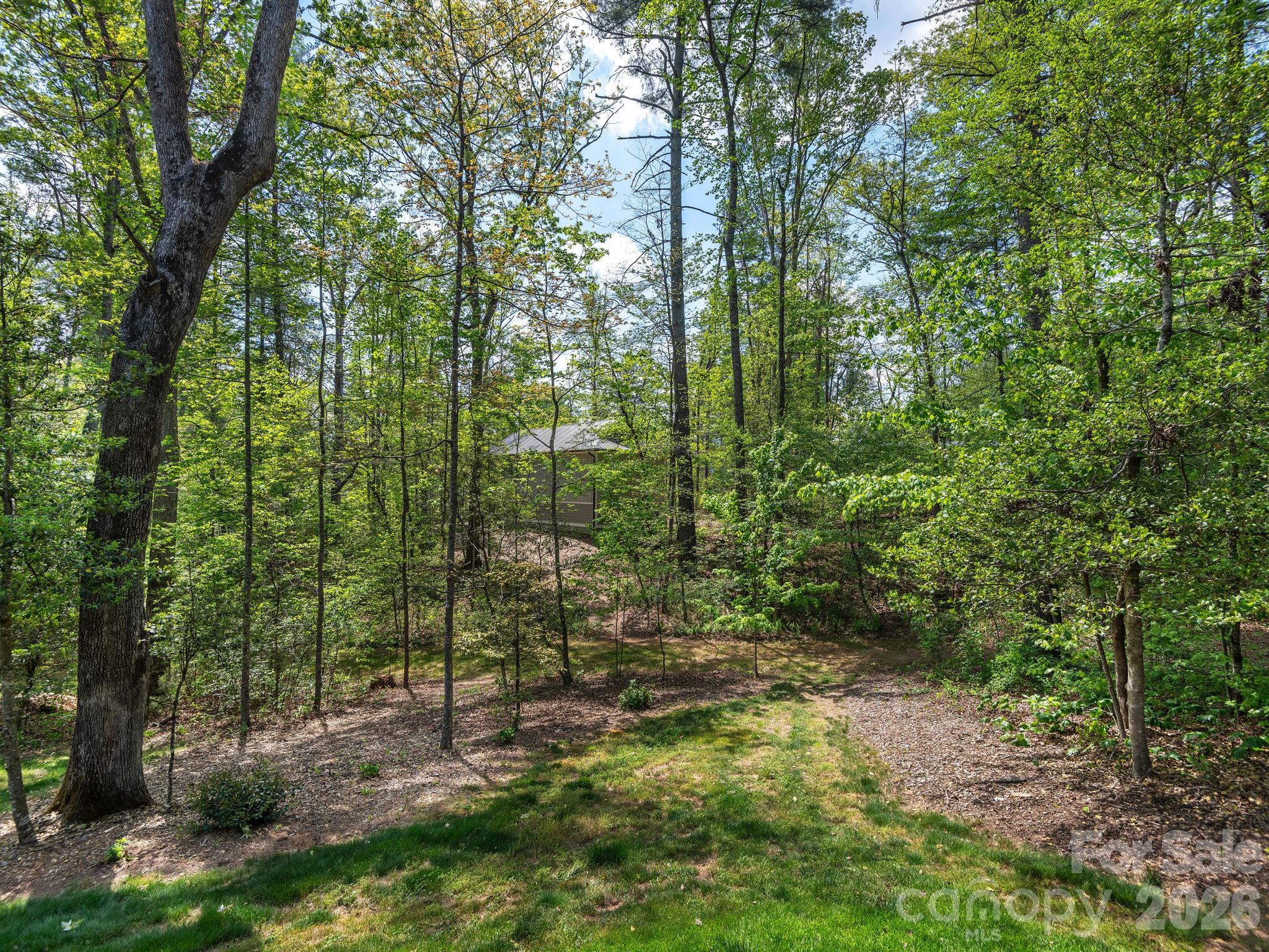 41 Hawberry Court — Asheville