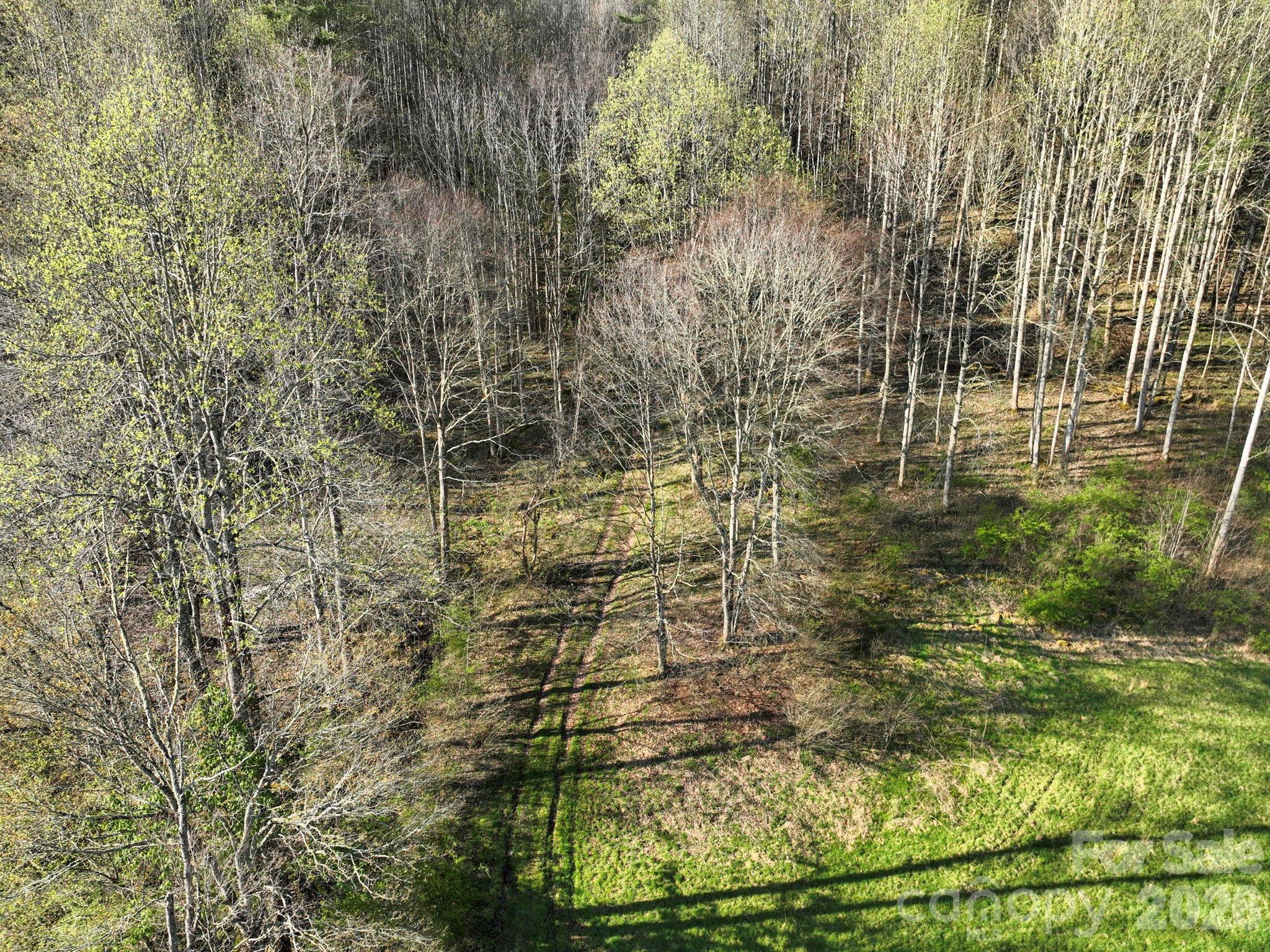 3041 Bald Mountain Road — Burnsville