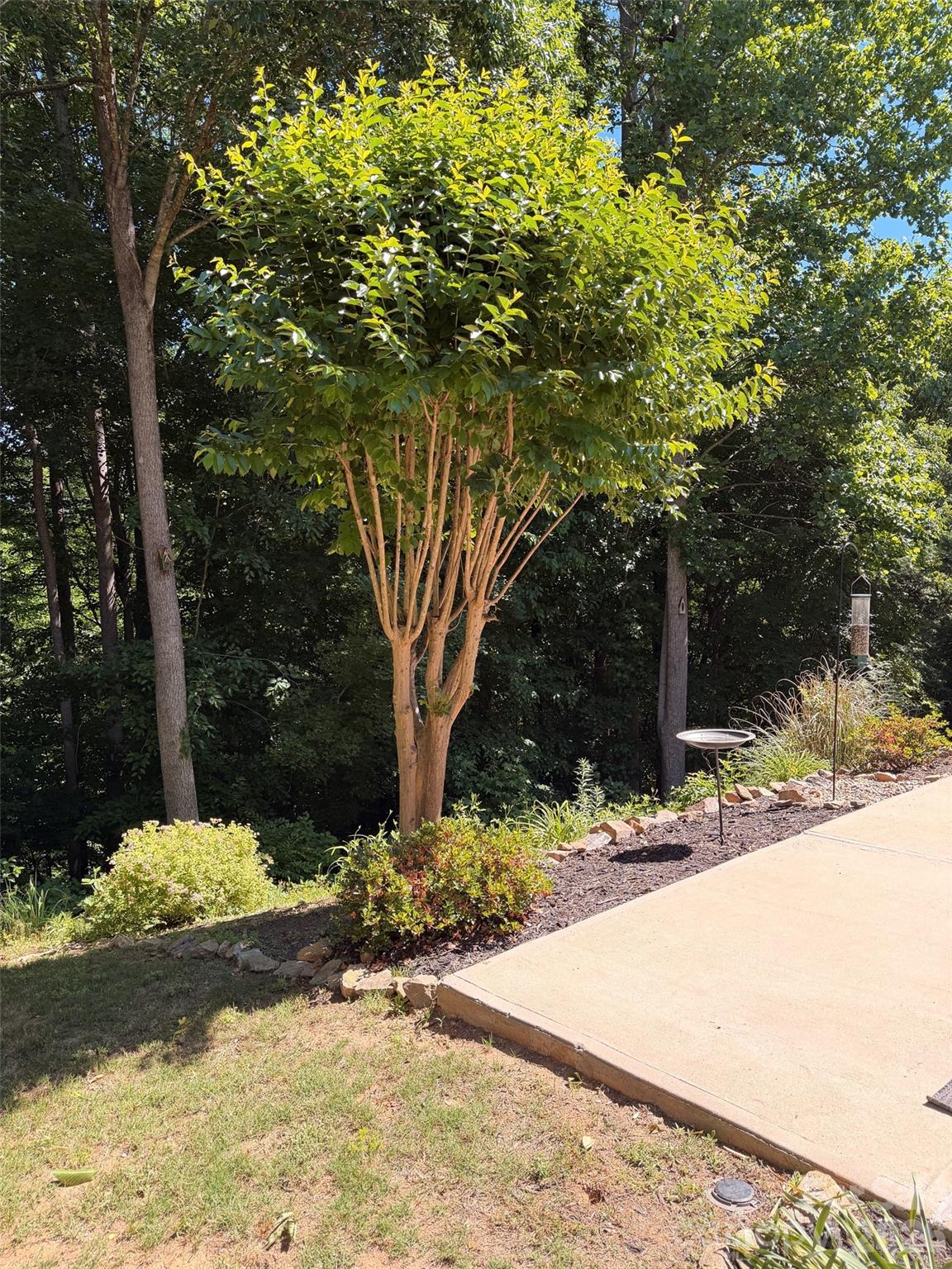 4873 Samuel Pinckney Drive — Belmont