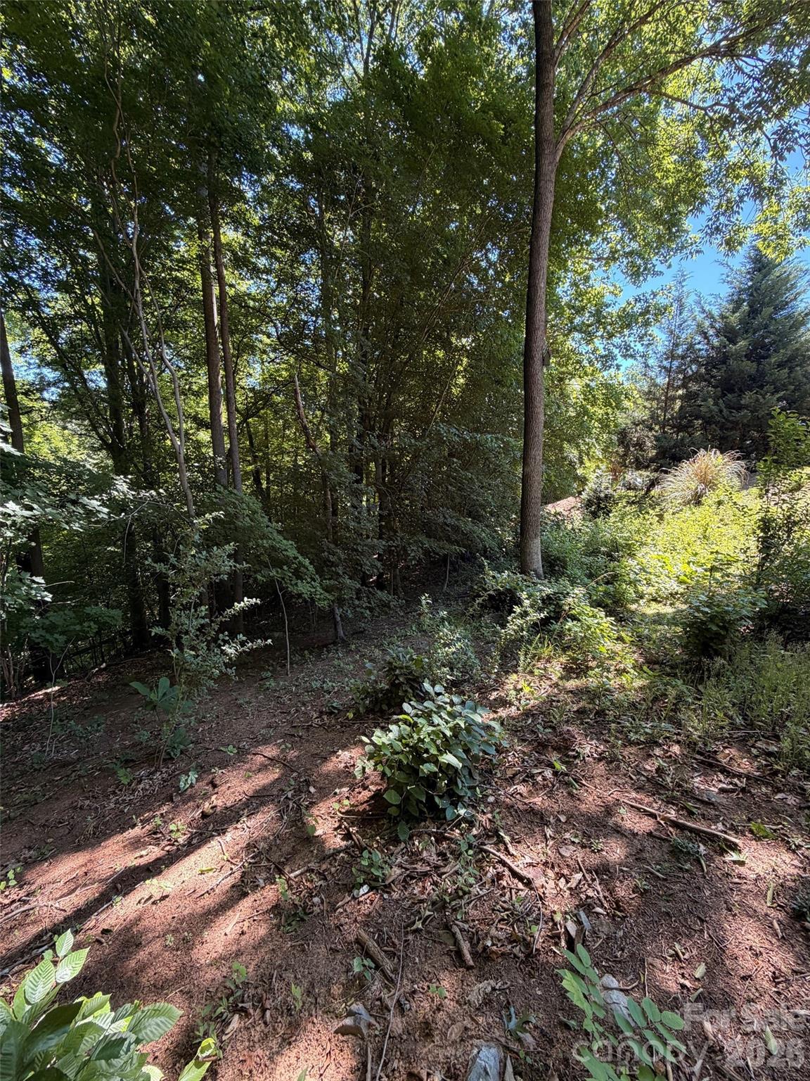 4873 Samuel Pinckney Drive — Belmont