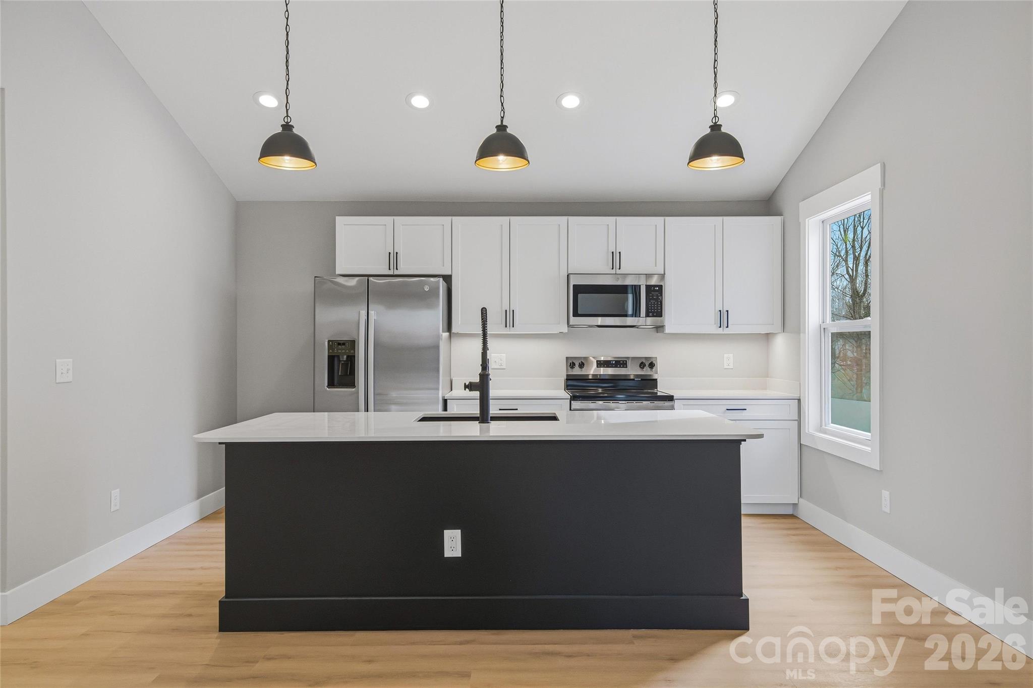 133 Moore Street — Hendersonville
