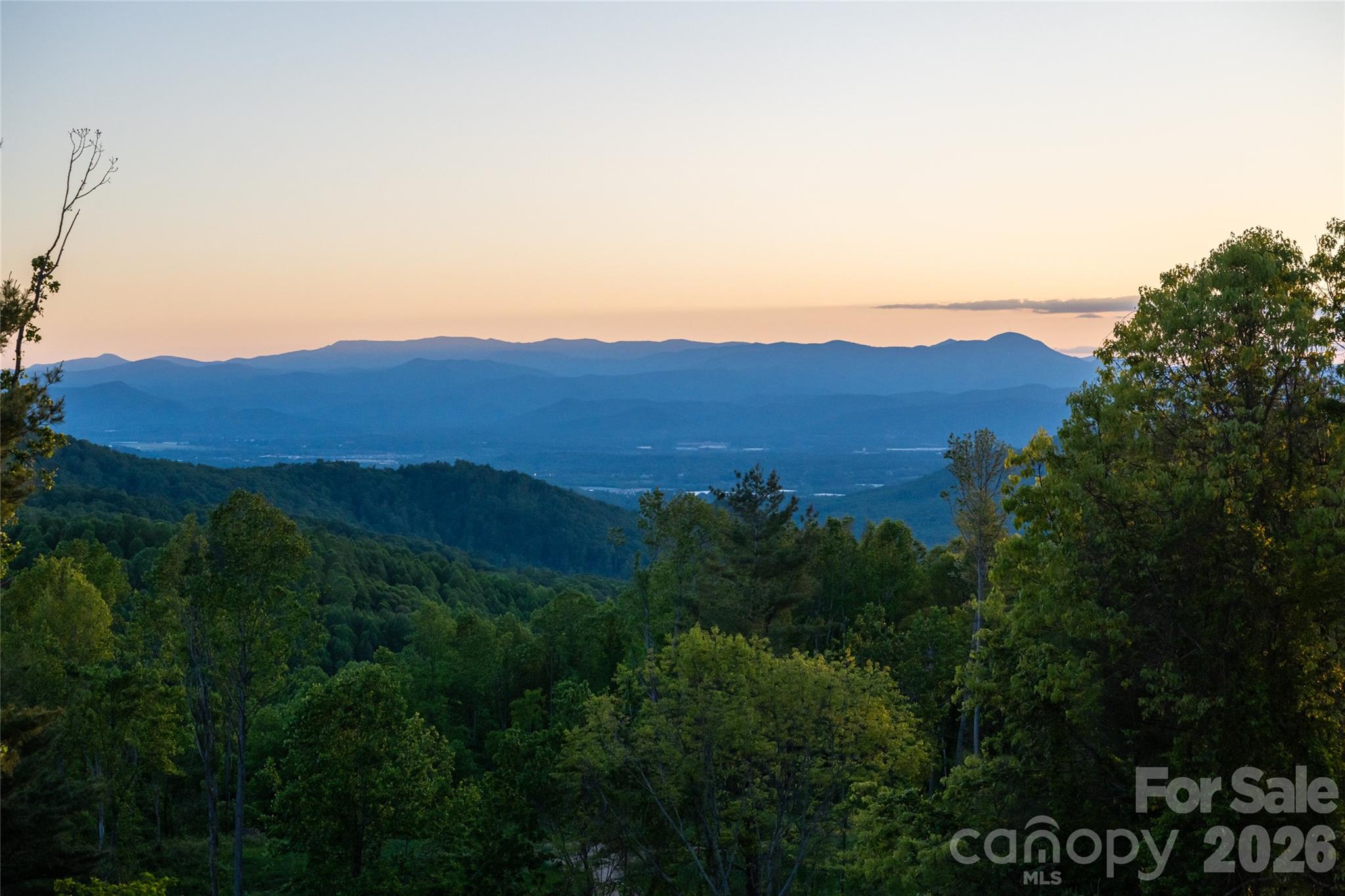 31 Bear Tree Court — Hendersonville