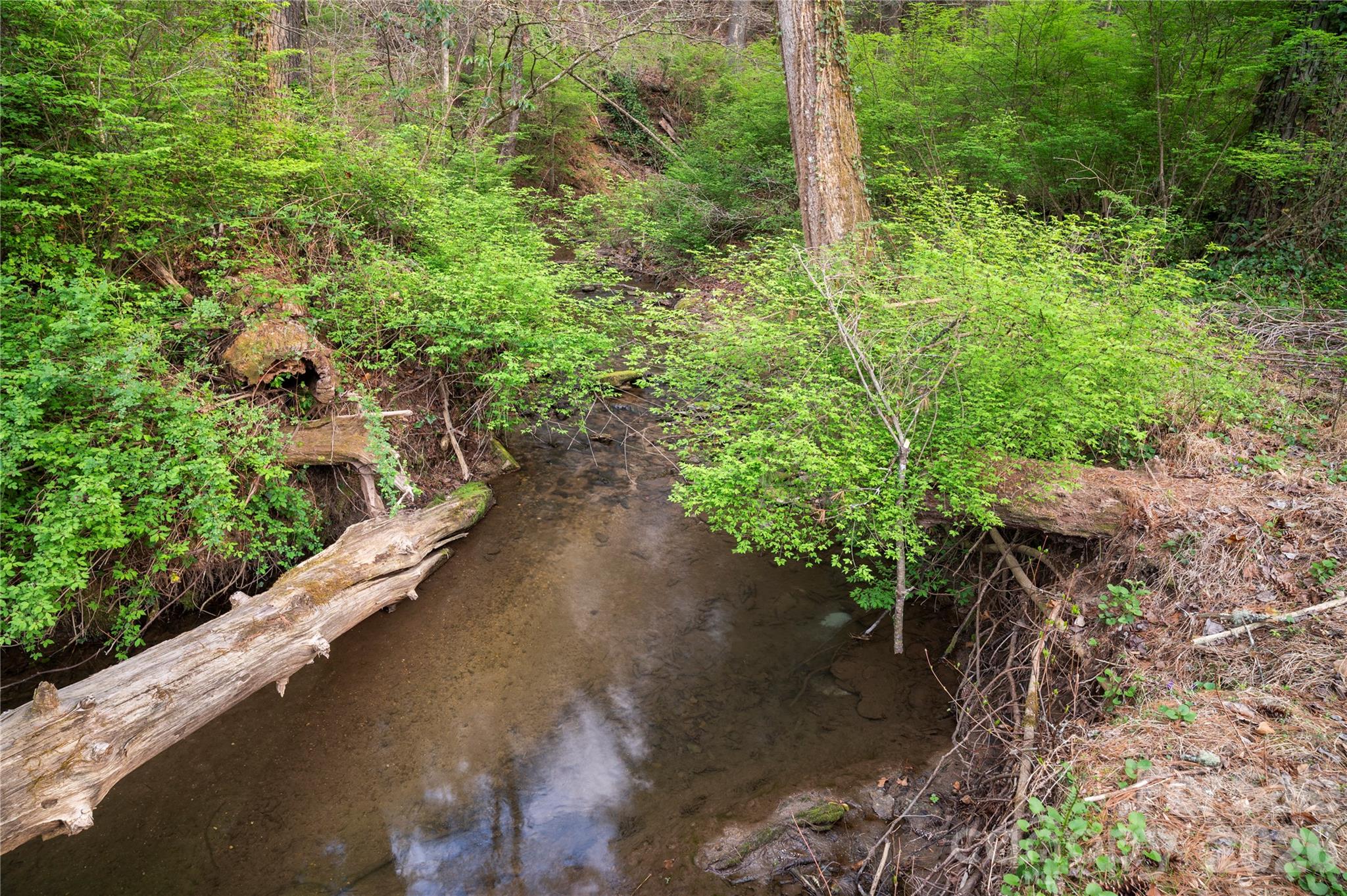 3002 Kanuga Road — Hendersonville