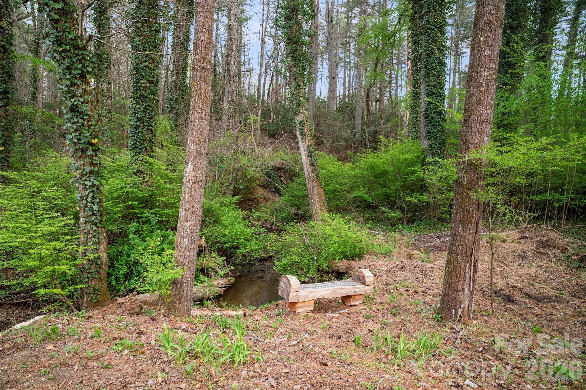 3002 Kanuga Road — Hendersonville