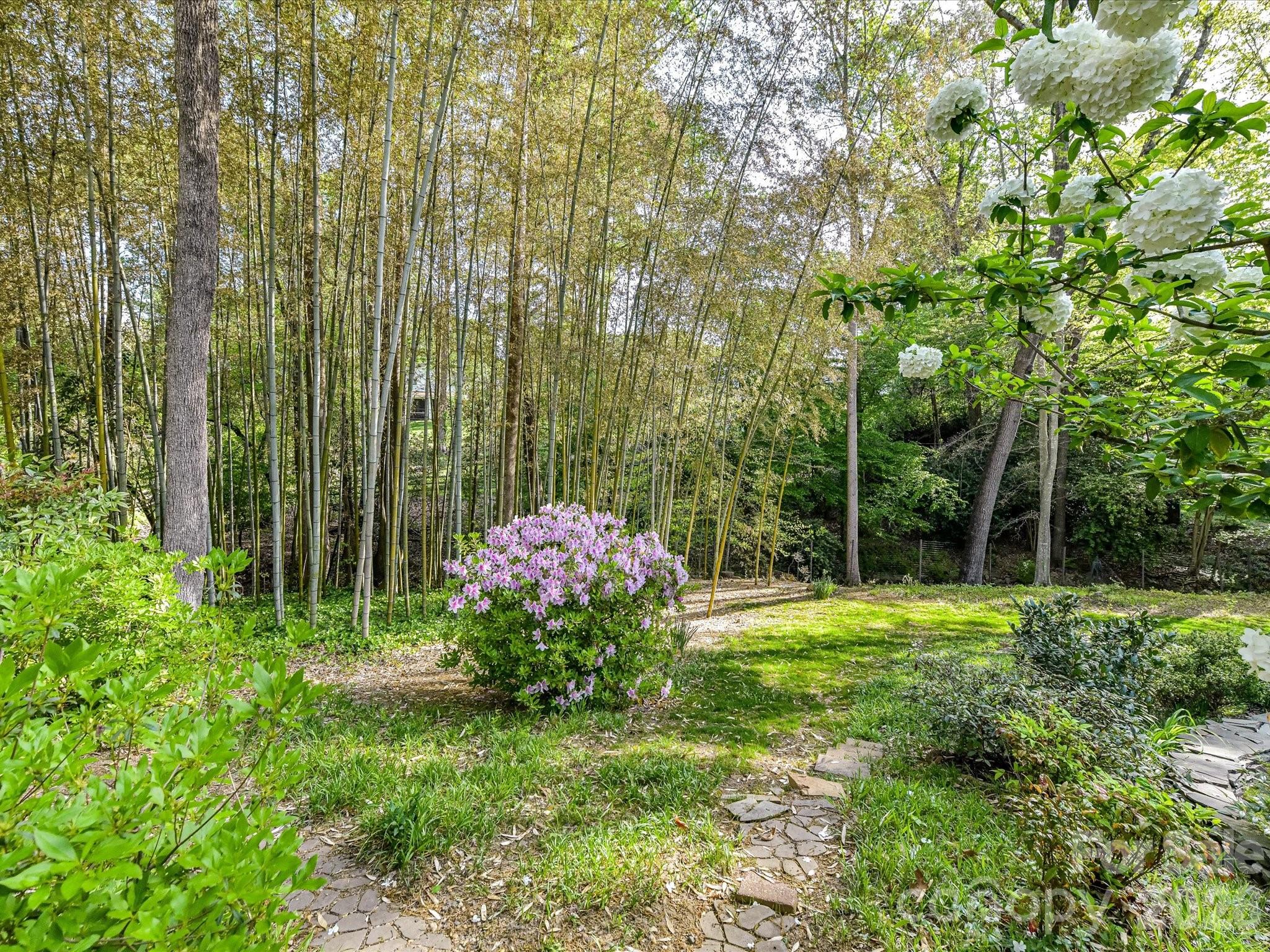 2818 Hinsdale Street — Charlotte