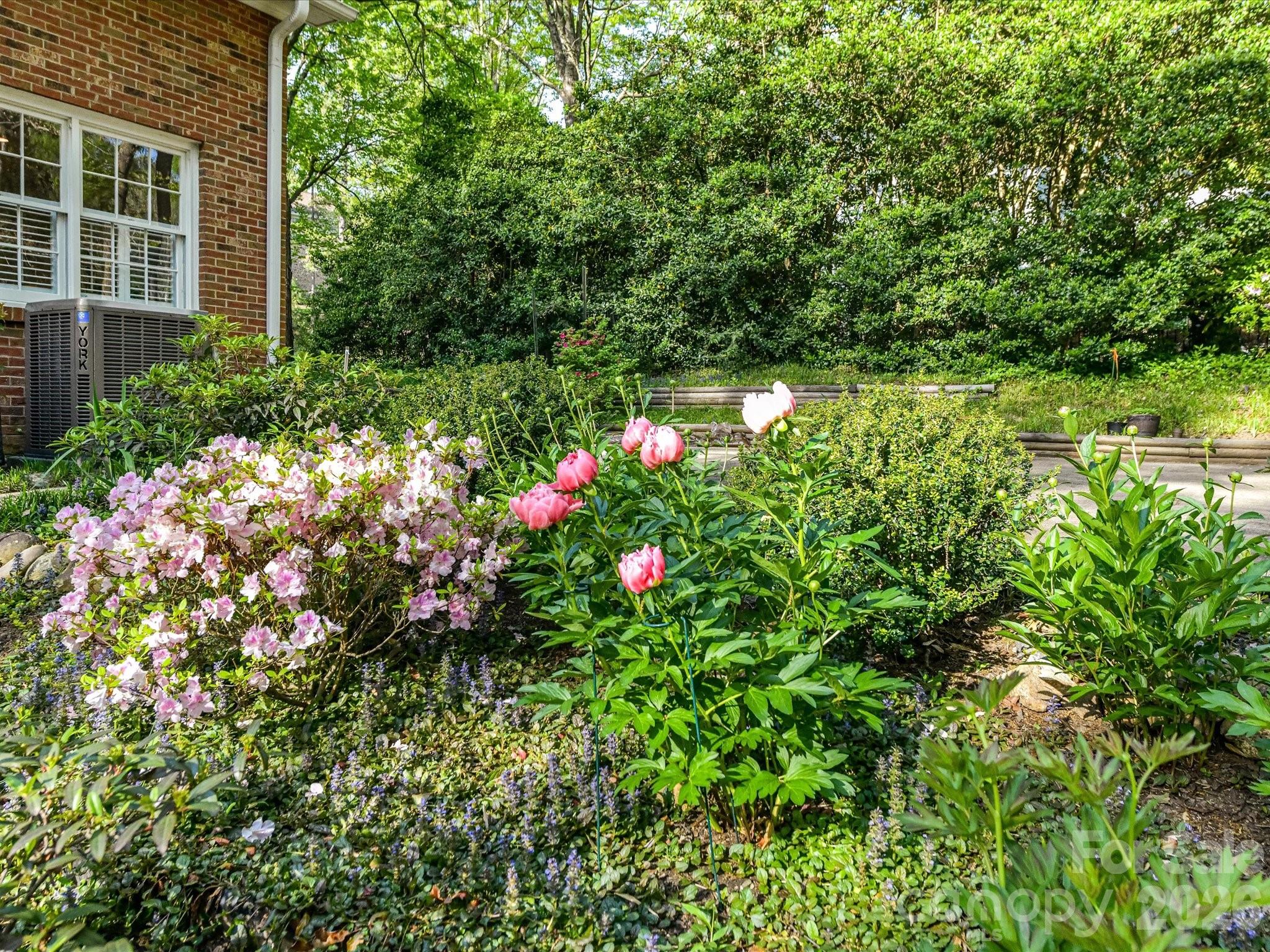 2818 Hinsdale Street — Charlotte