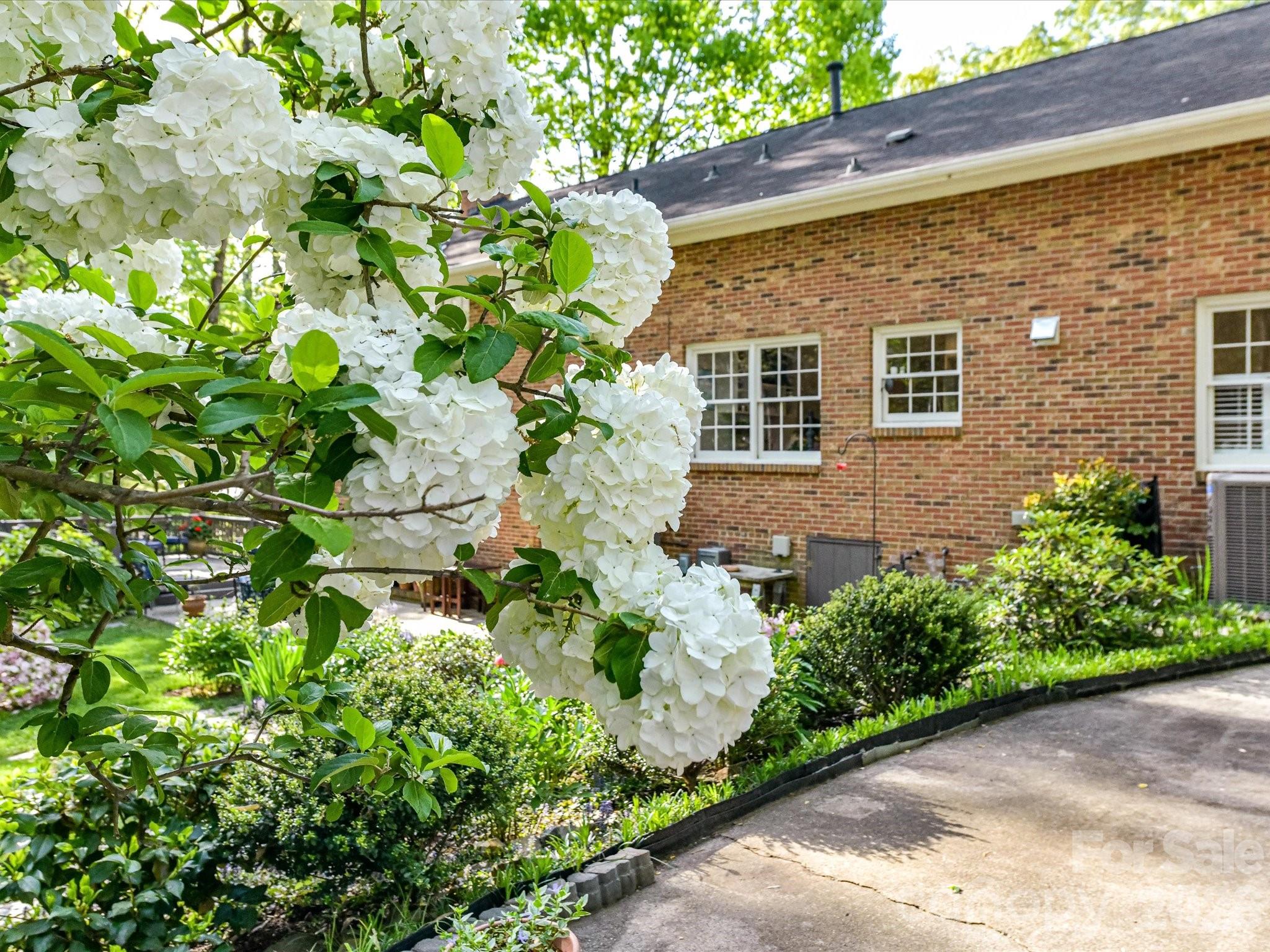 2818 Hinsdale Street — Charlotte