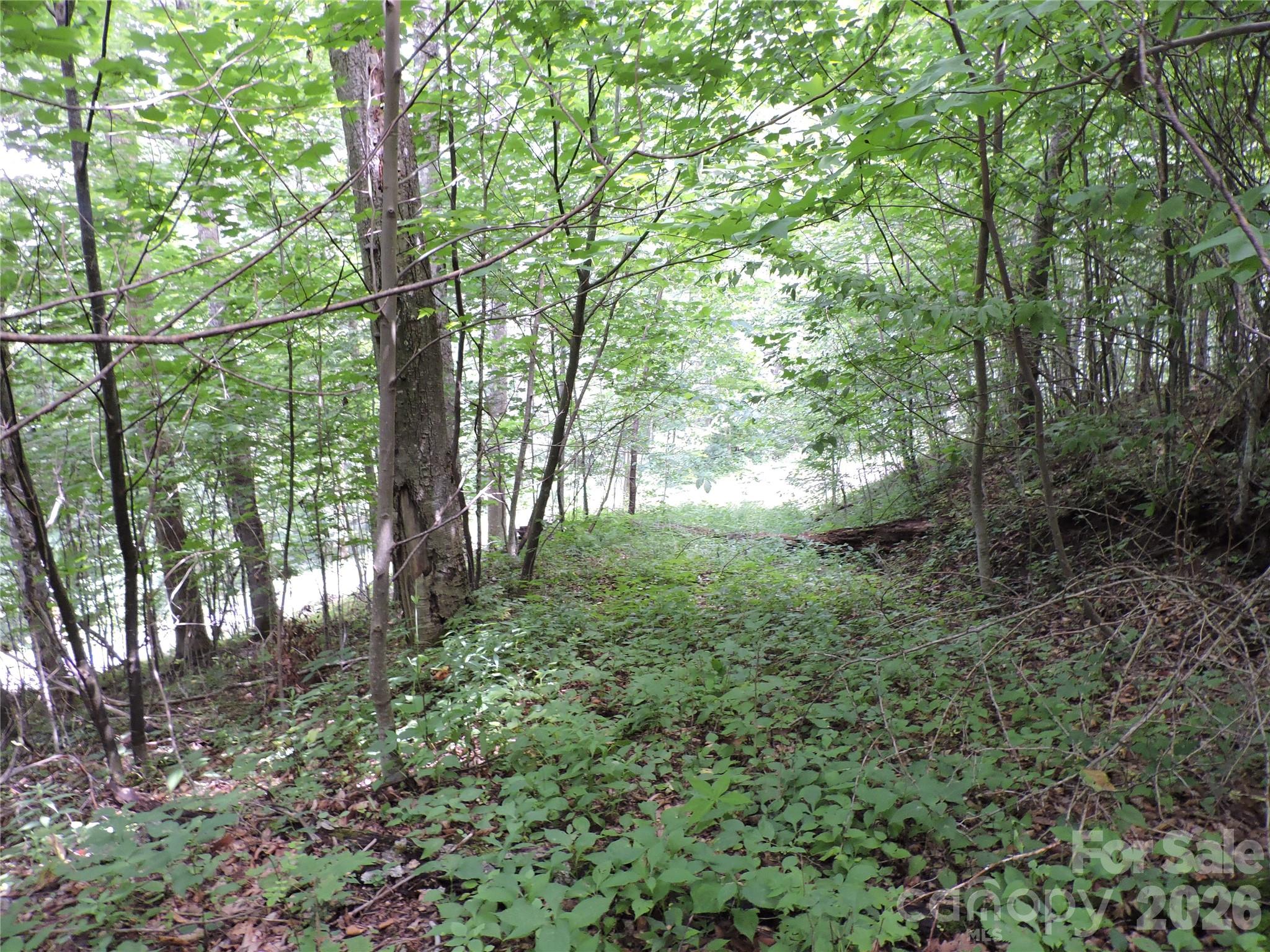 103 Chucks Lane — Bakersville
