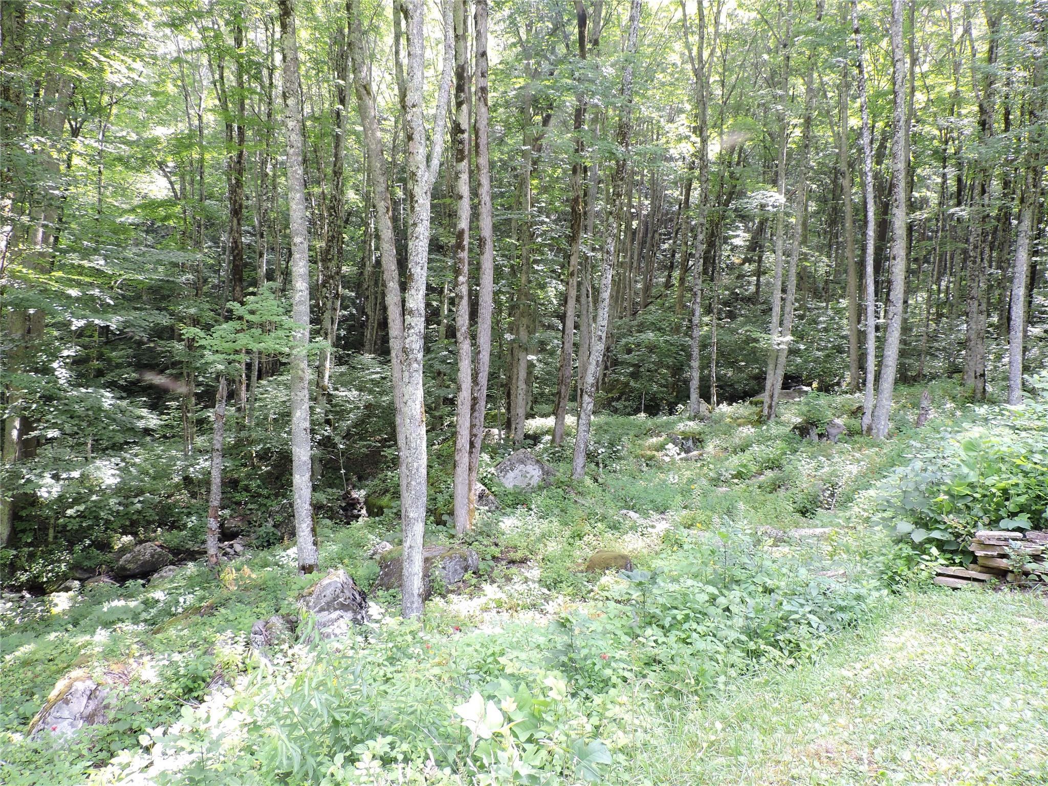 103 Chucks Lane — Bakersville