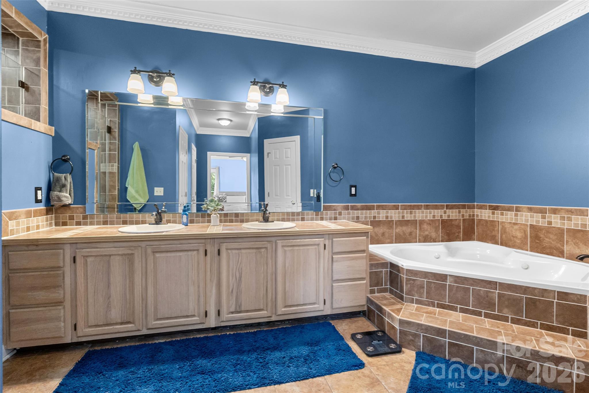 217 Spring Run Drive — Mooresville