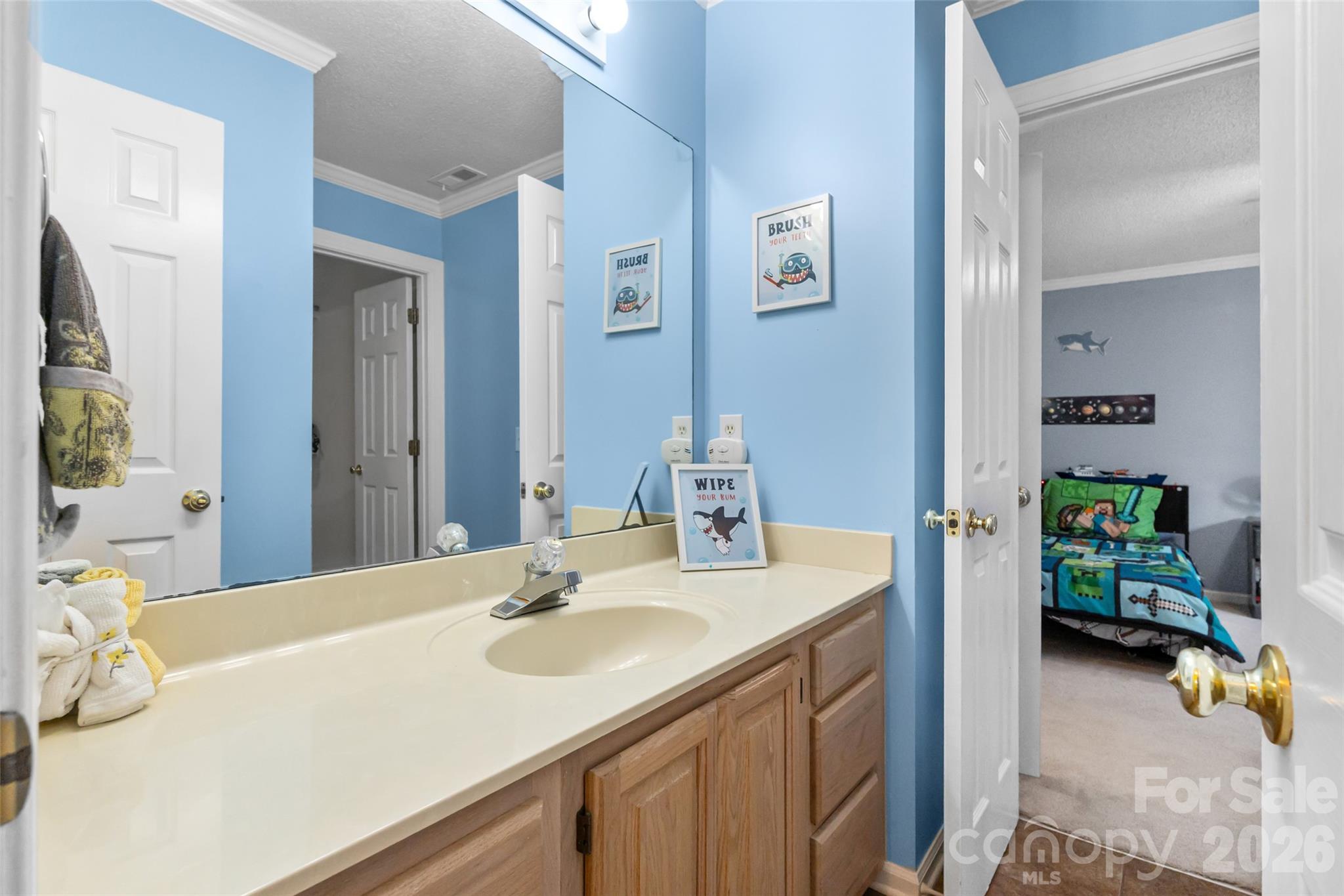 217 Spring Run Drive — Mooresville