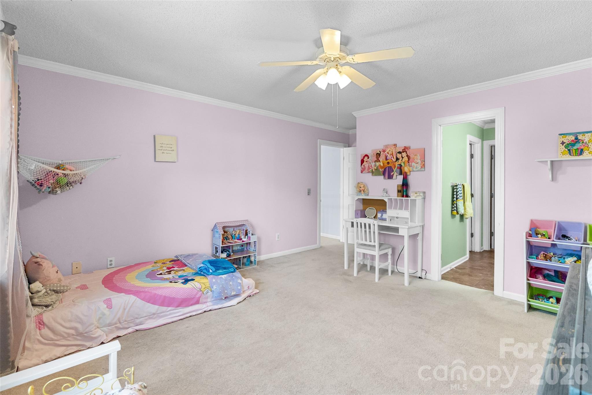 217 Spring Run Drive — Mooresville