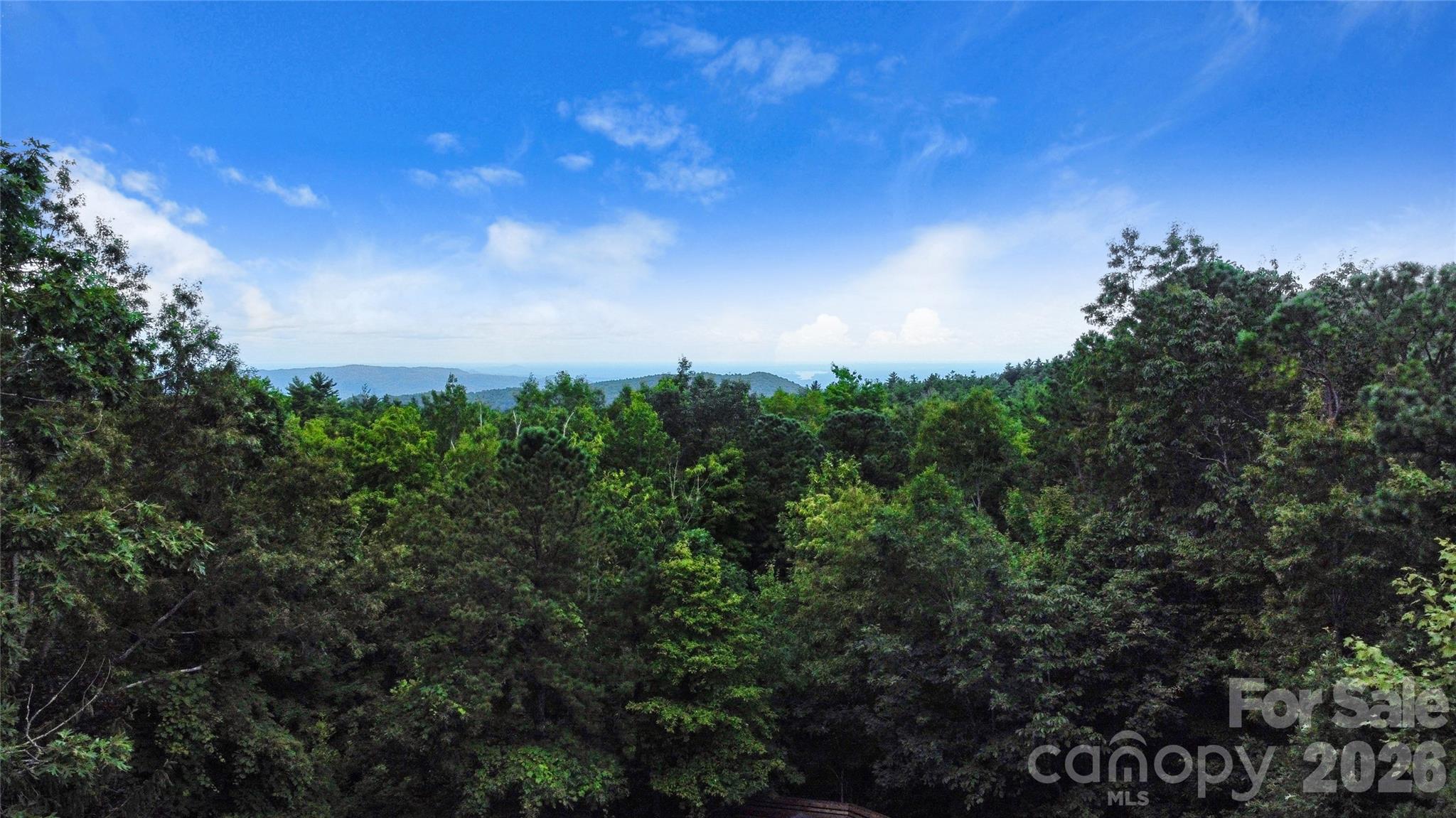 121 Toxaway Views Drive #503 — Lake Toxaway