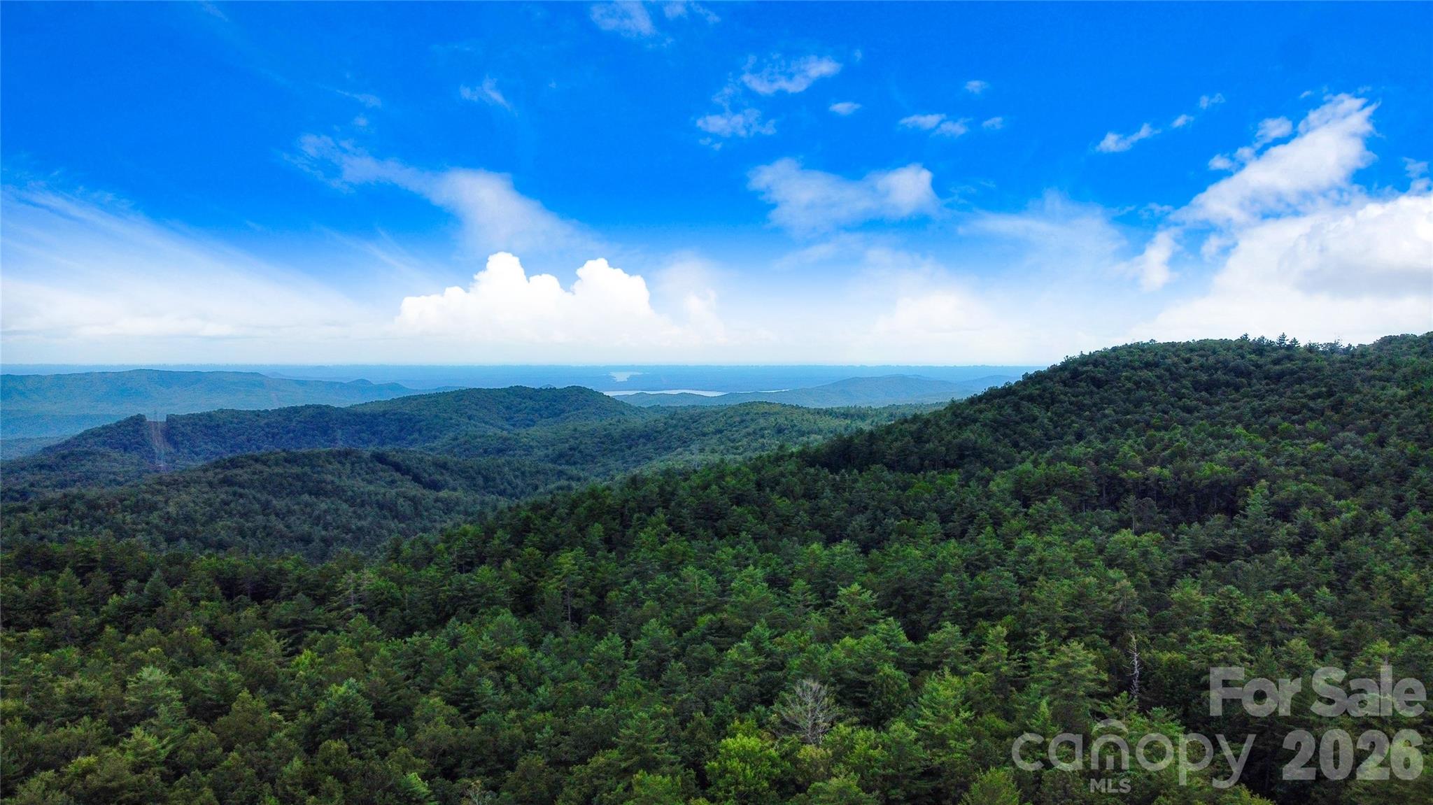121 Toxaway Views Drive #503 — Lake Toxaway