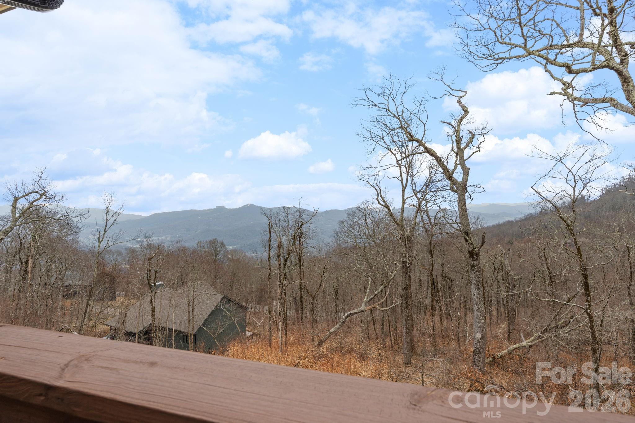 94 Silver Fox Ridge — Beech Mountain