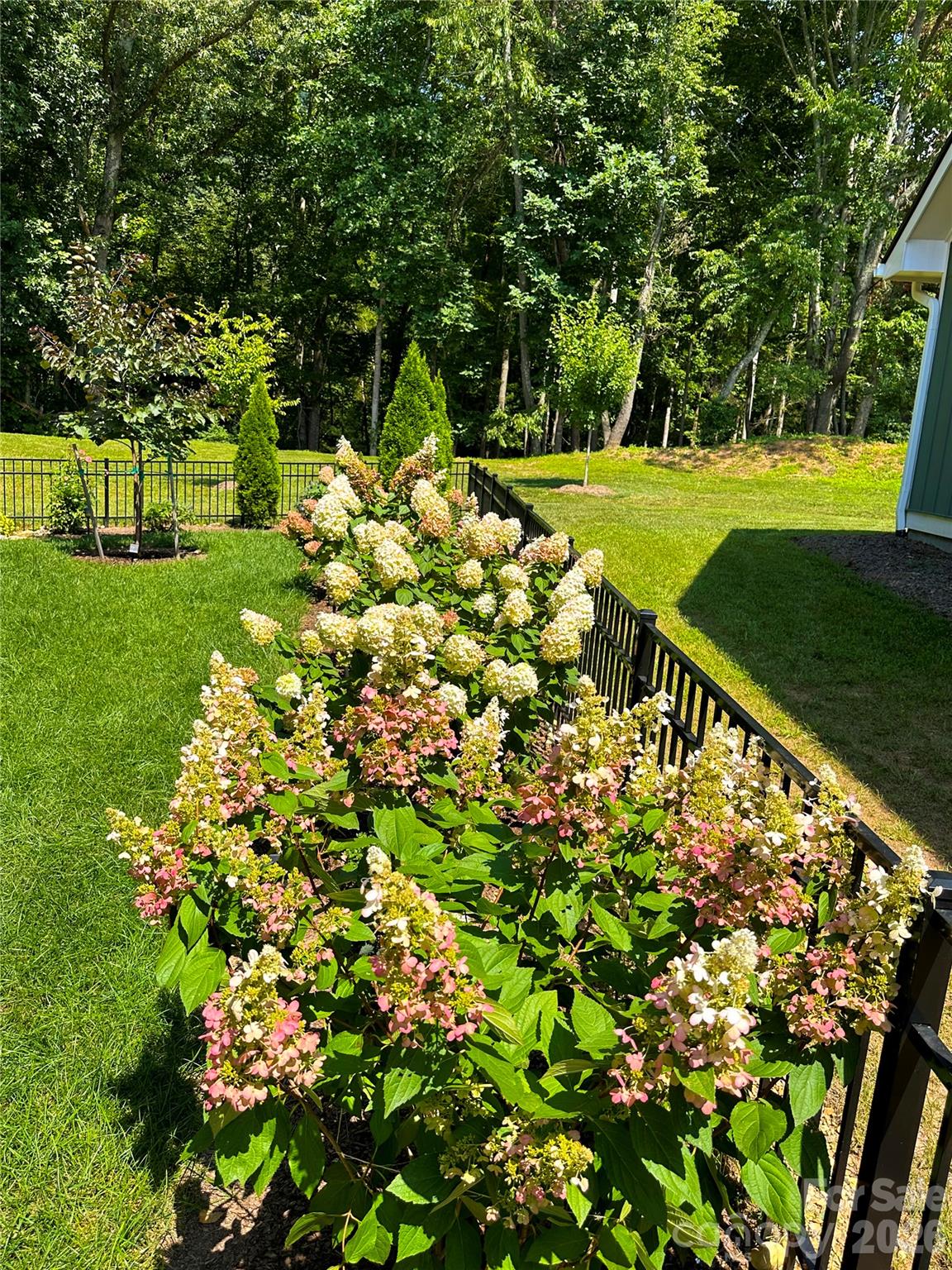 31 Cozy Cottage Way — Arden