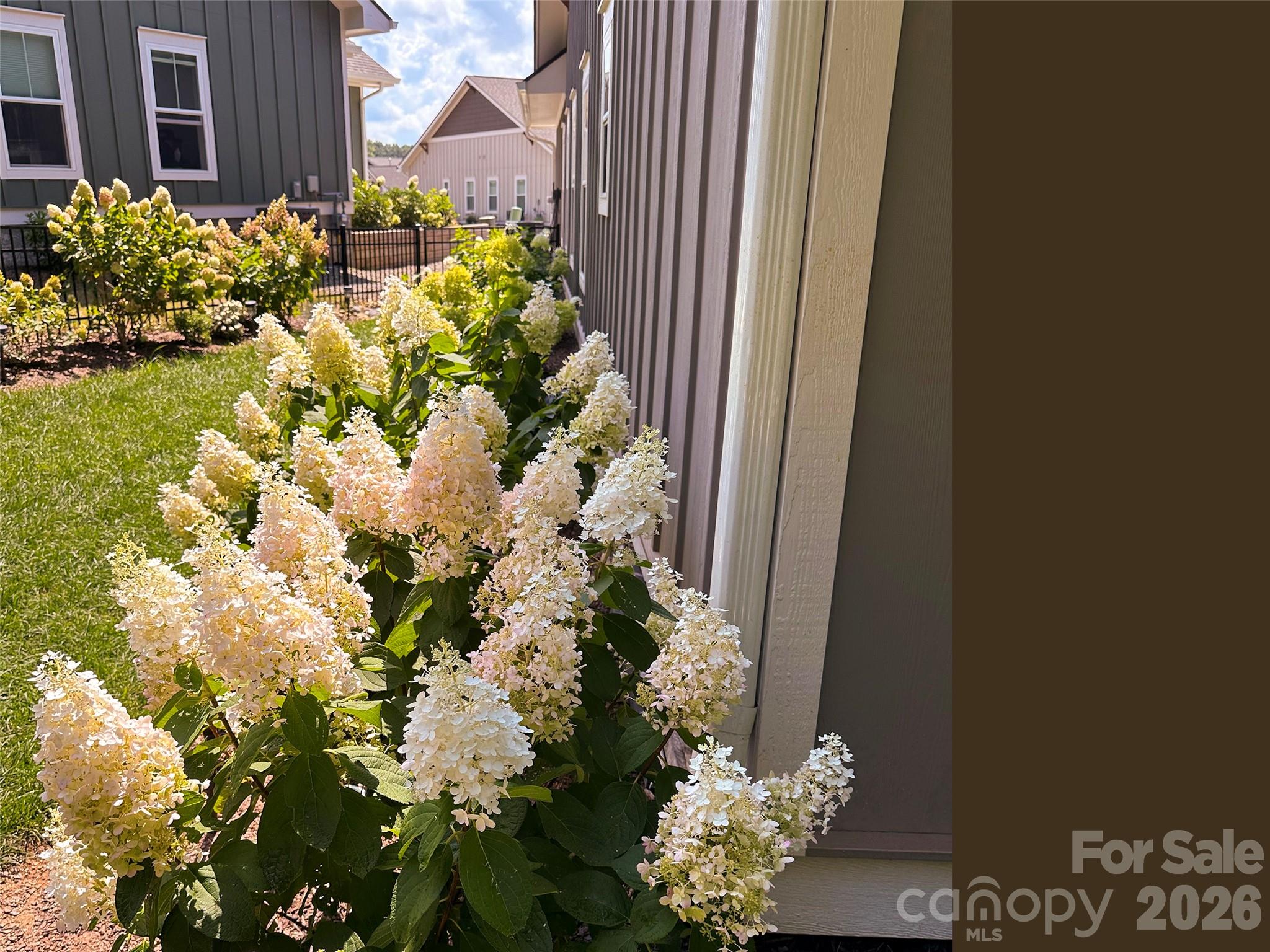 31 Cozy Cottage Way — Arden