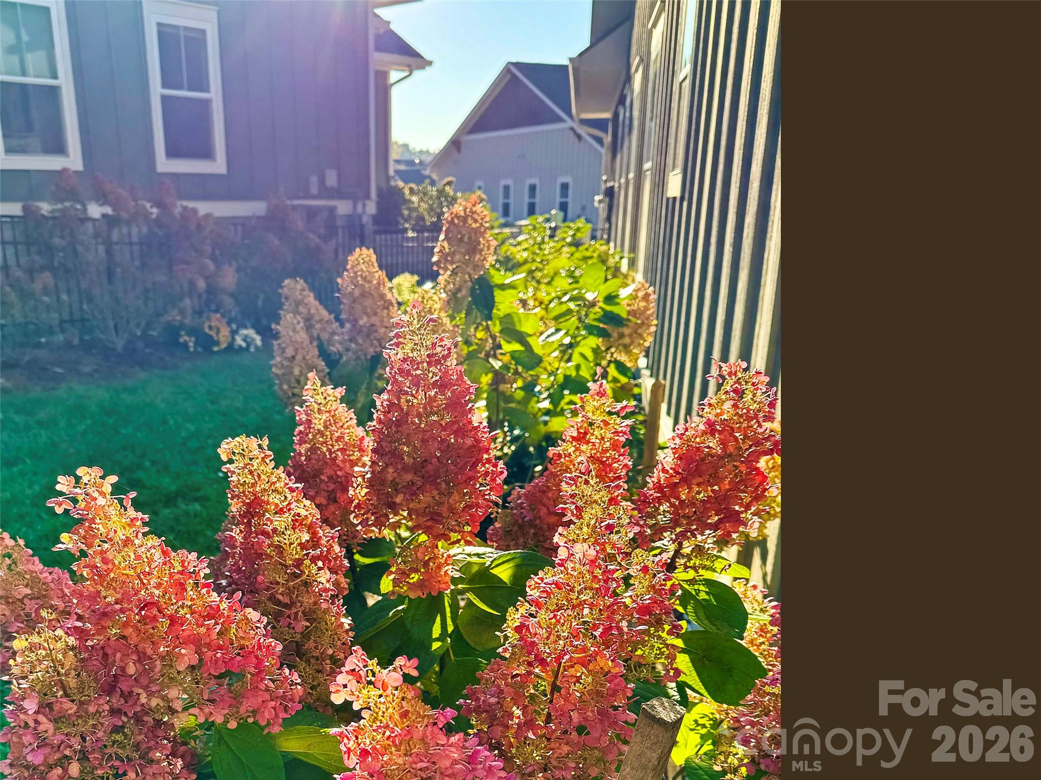 31 Cozy Cottage Way — Arden