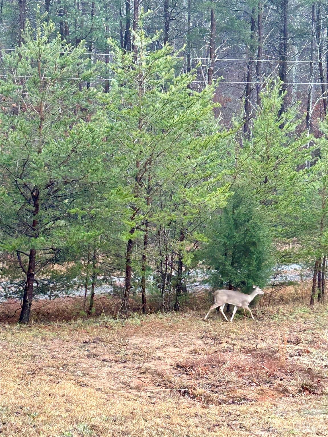 282 Calhoun Trail — Rutherfordton
