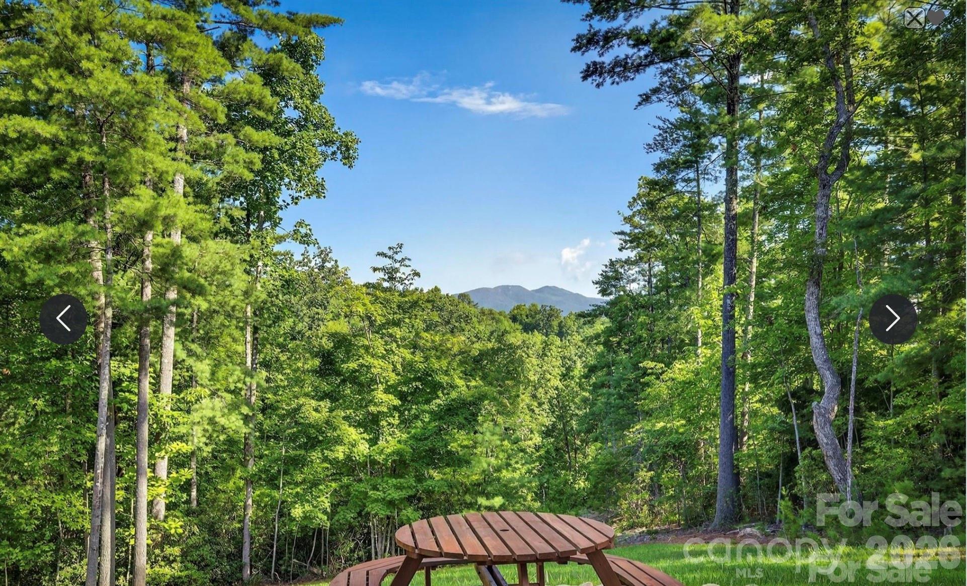 217 Sycamore Drive — Nebo