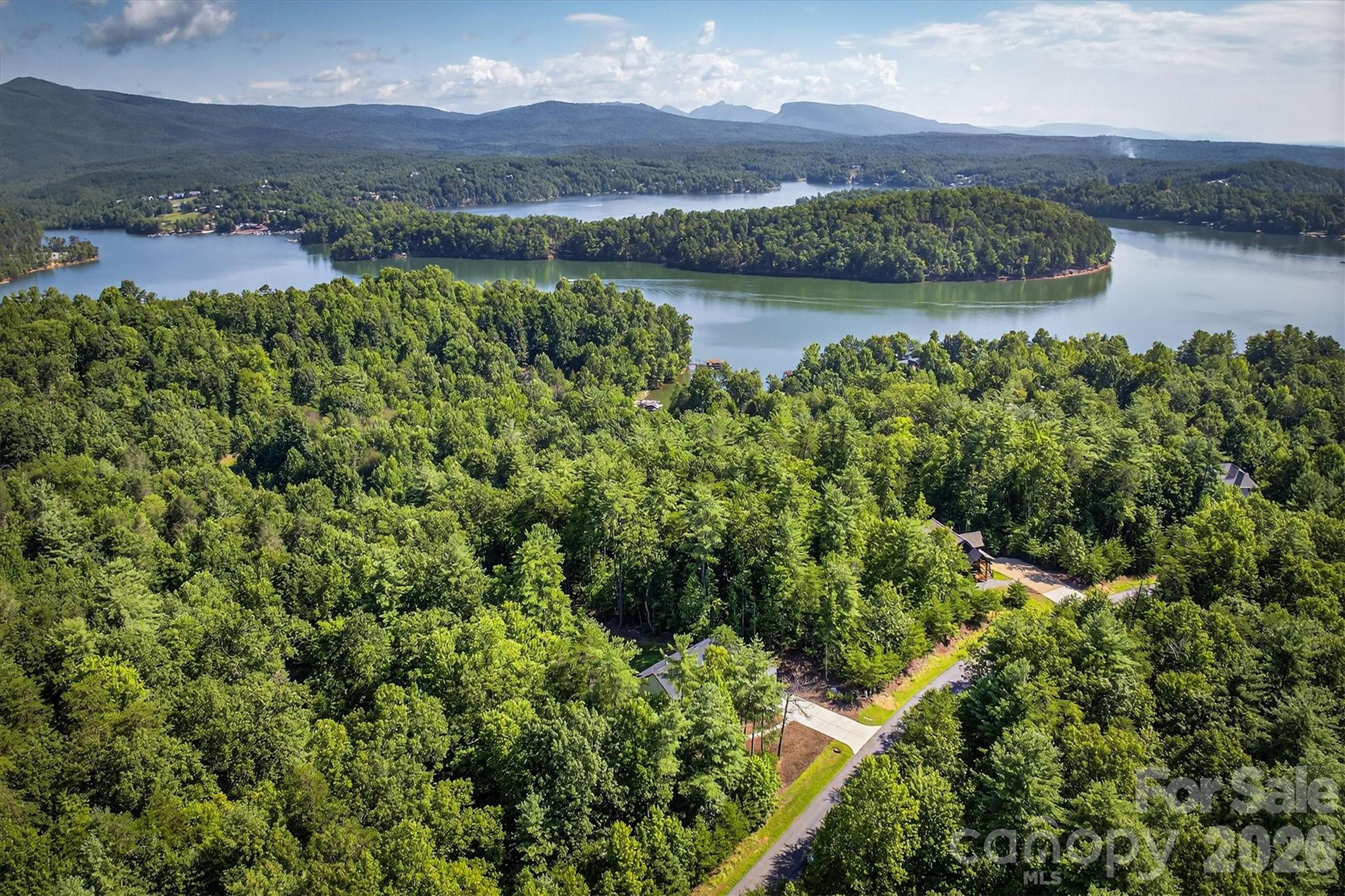 217 Sycamore Drive — Nebo