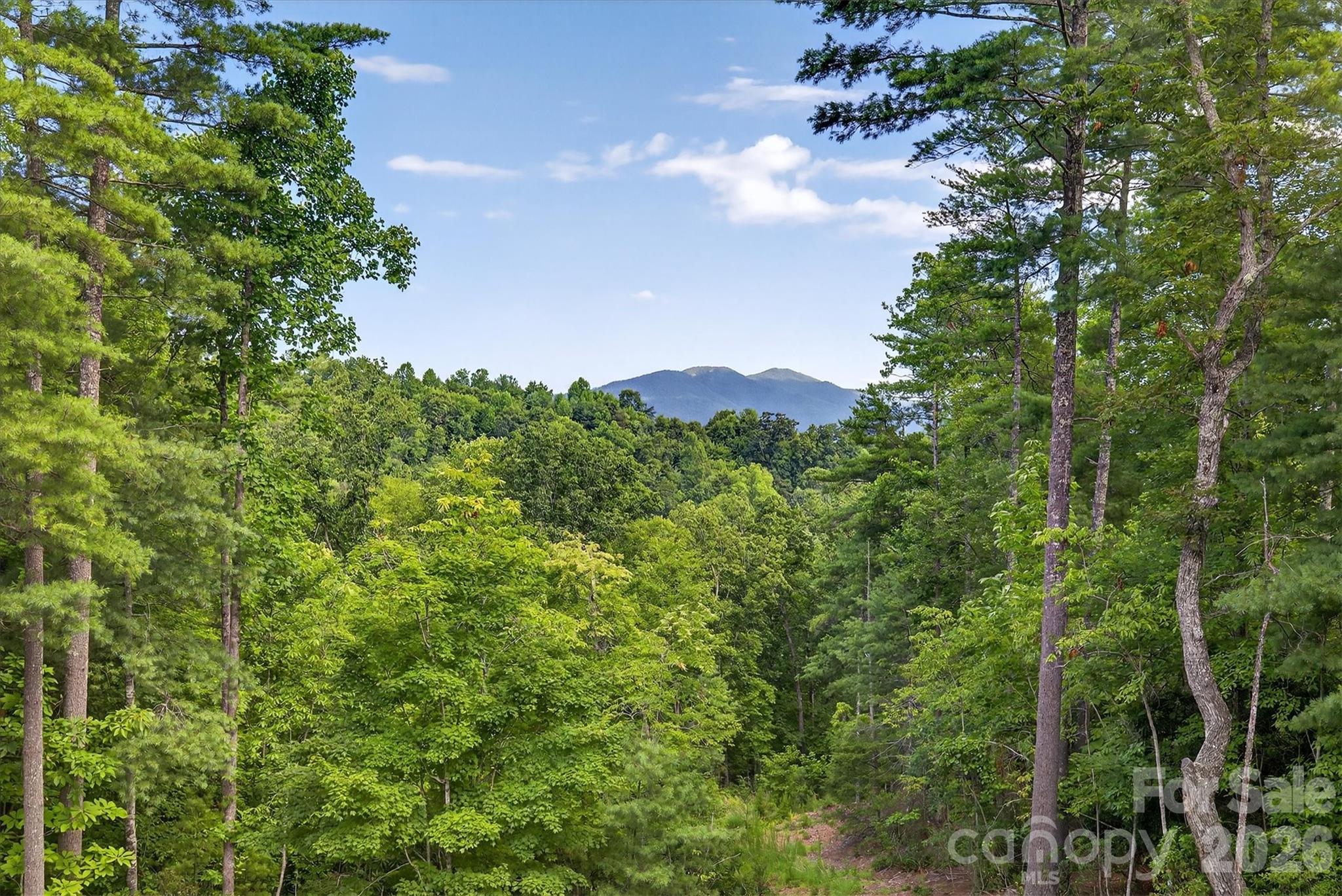 217 Sycamore Drive — Nebo