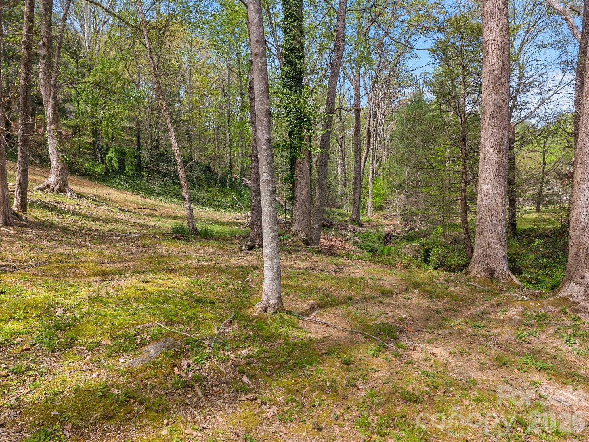 140 Meadowlark Drive — Tryon