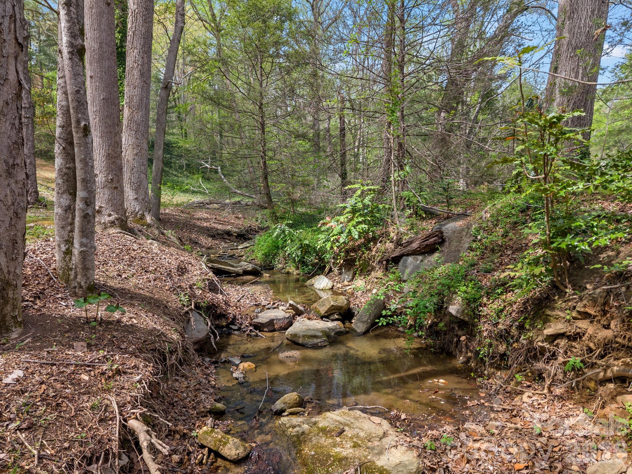 140 Meadowlark Drive — Tryon