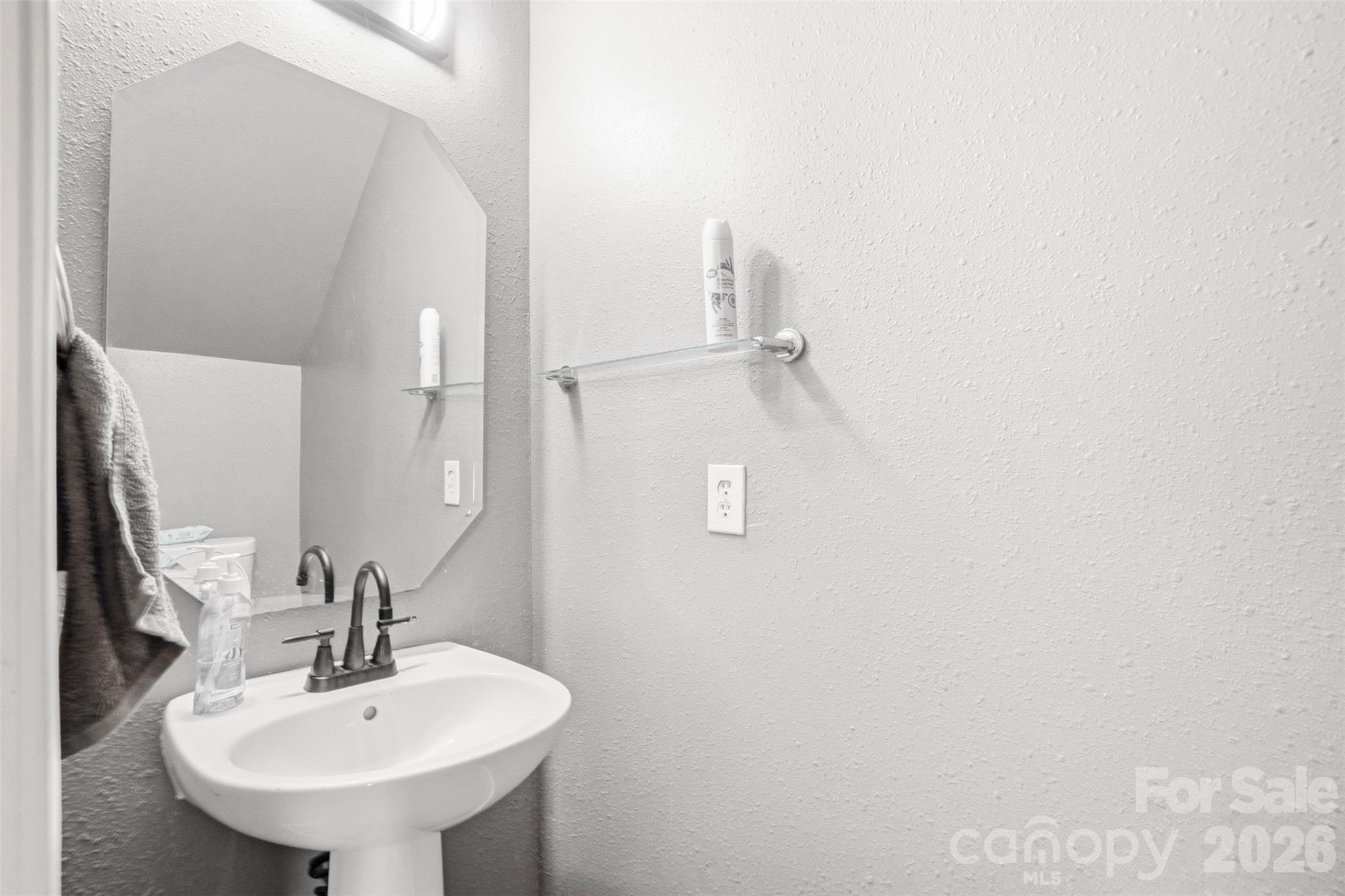 1217 Jordans Pond Lane — Charlotte