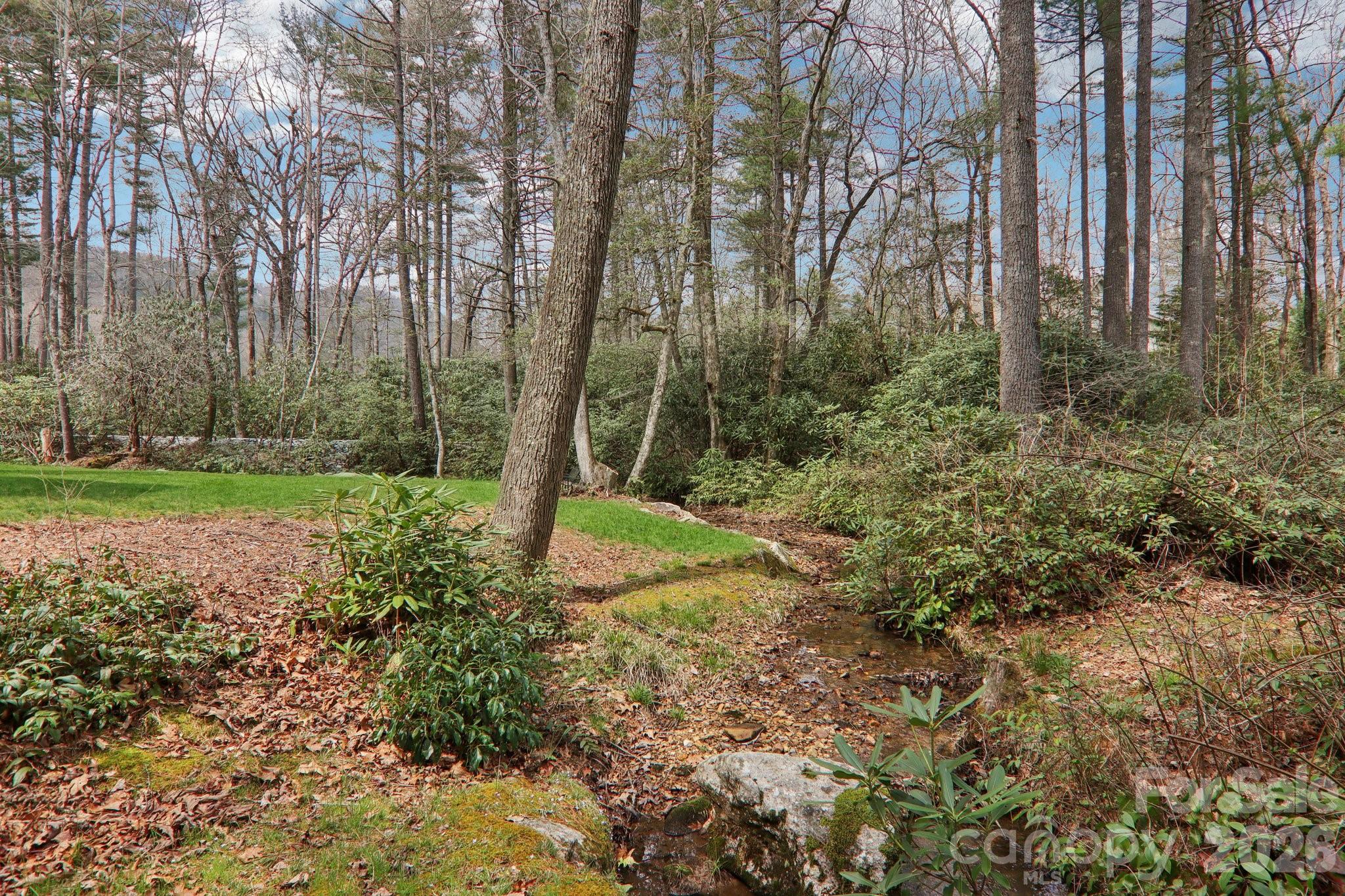 46 Mills Creek Drive — Lake Toxaway