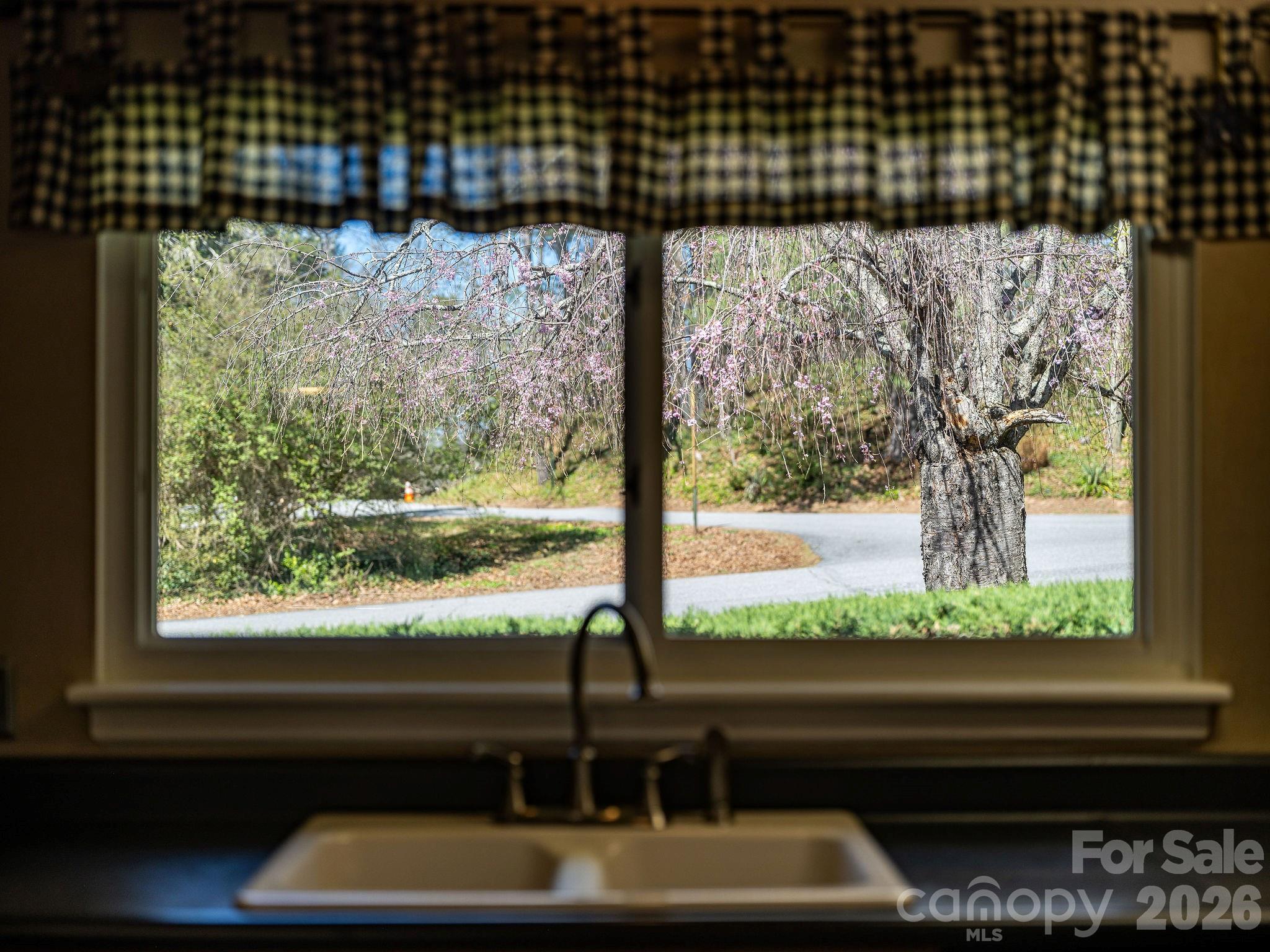 4 Dogwood Road — Asheville
