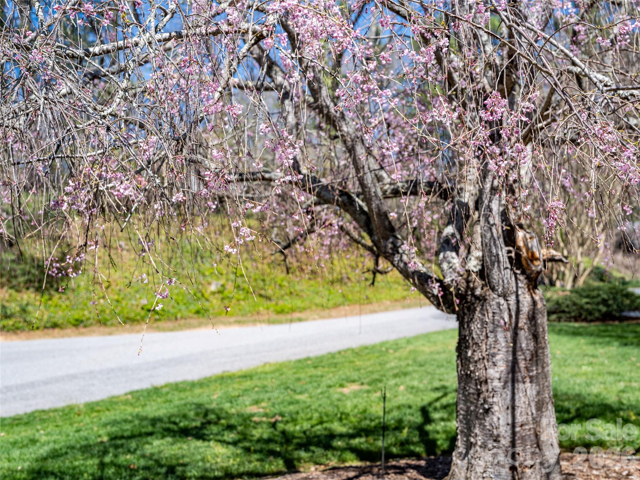 4 Dogwood Road — Asheville
