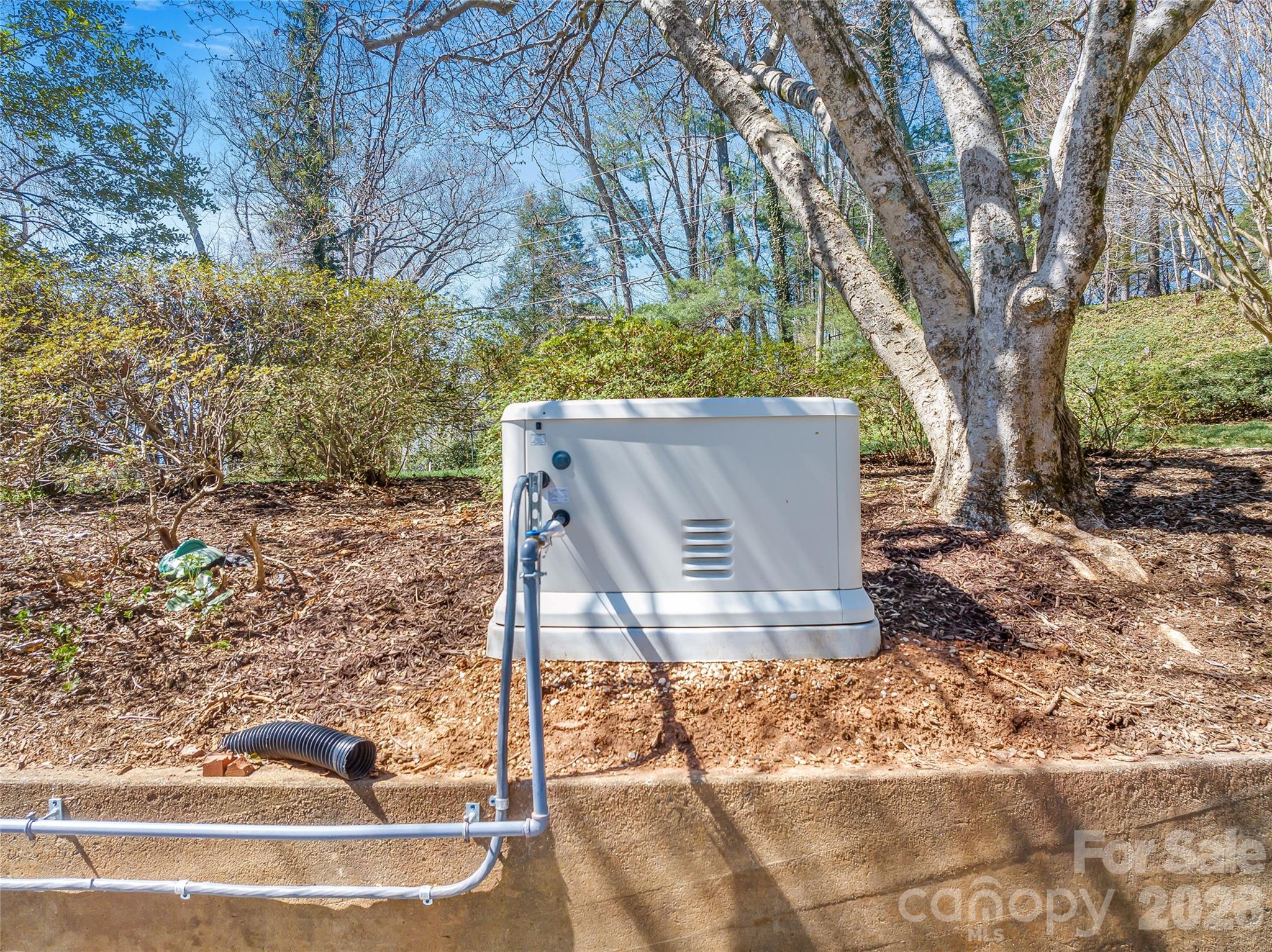 4 Dogwood Road — Asheville