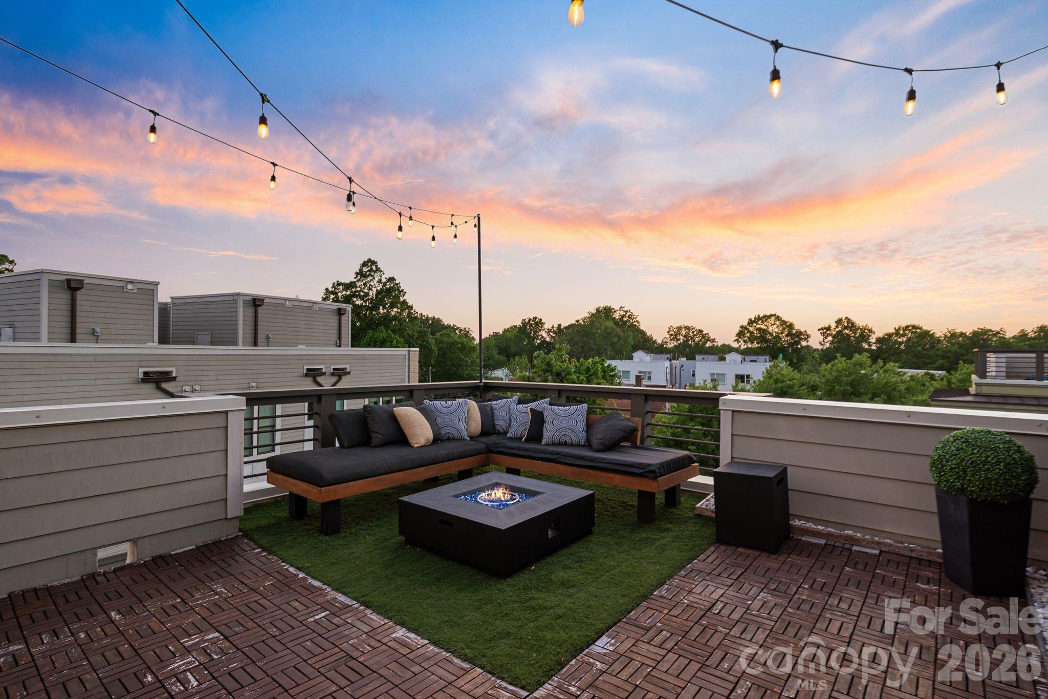 1605 Cannon View Lane — Charlotte