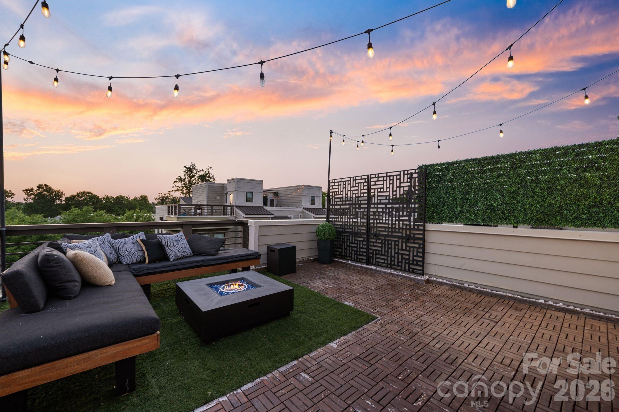 1605 Cannon View Lane — Charlotte