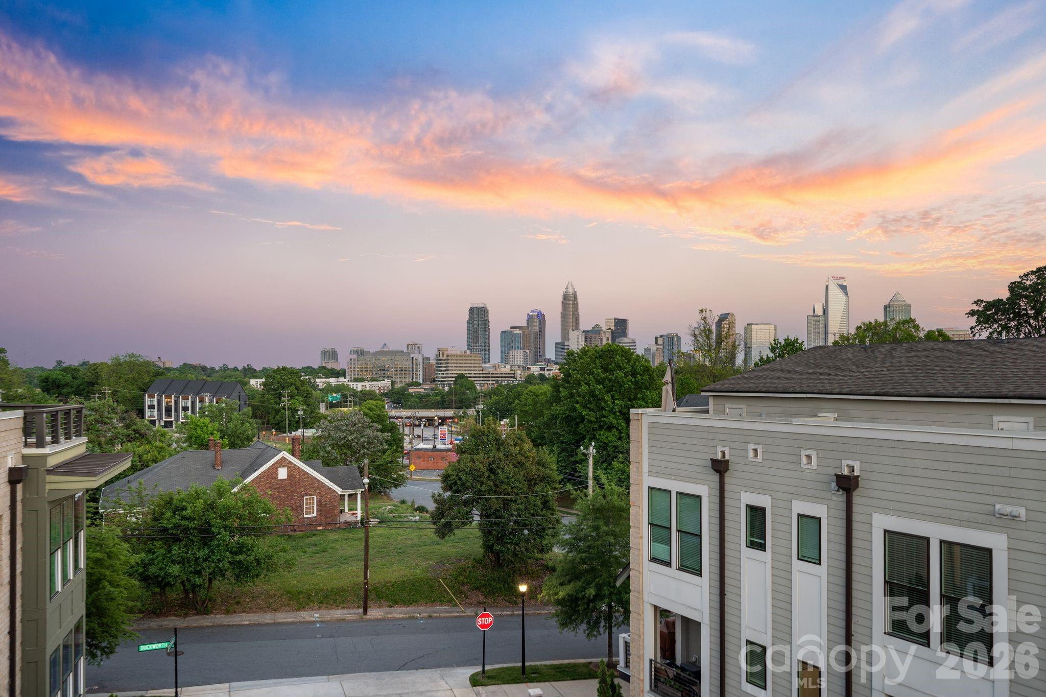 1605 Cannon View Lane — Charlotte