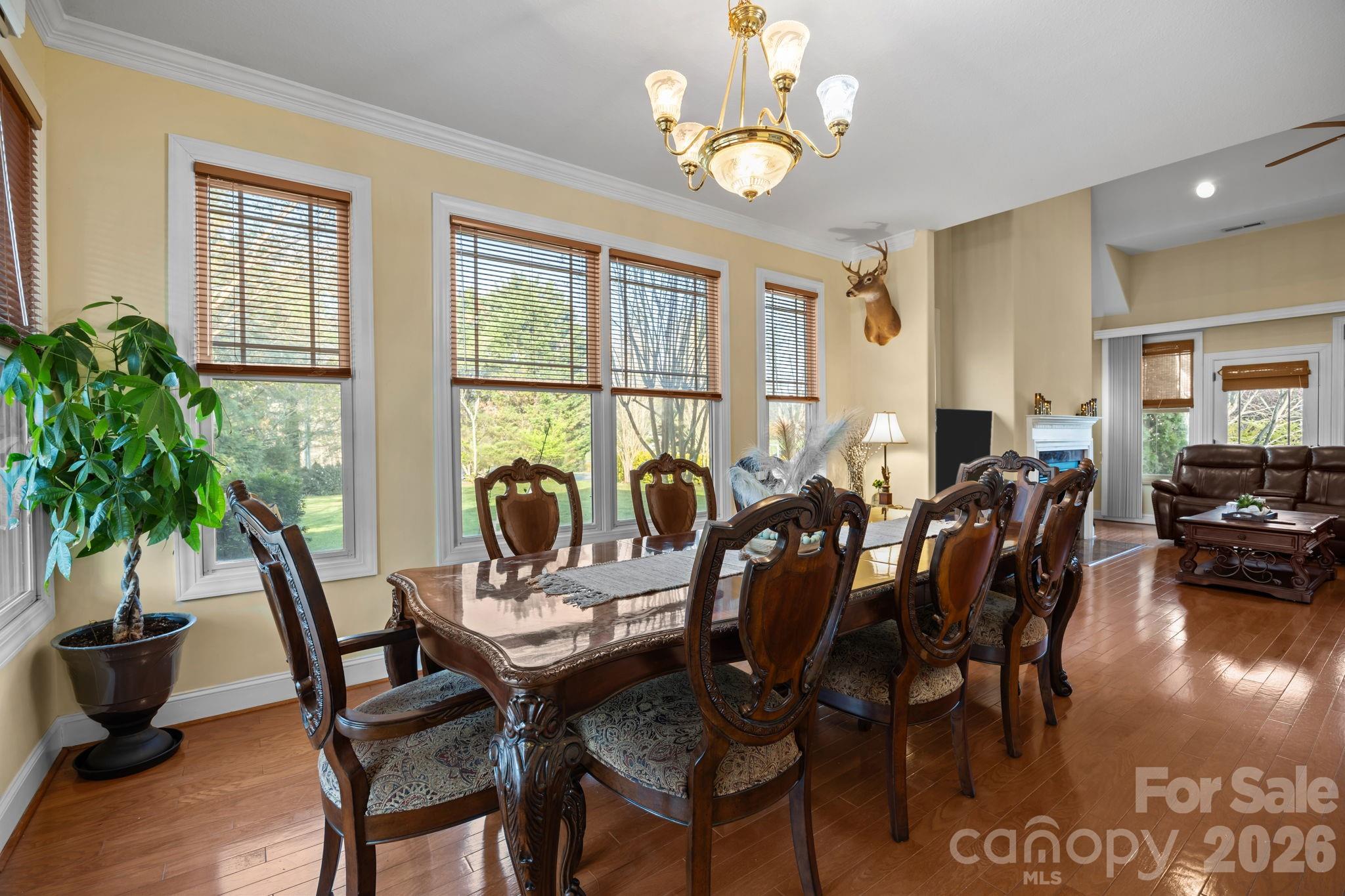 4 AMARETTO Drive — Candler