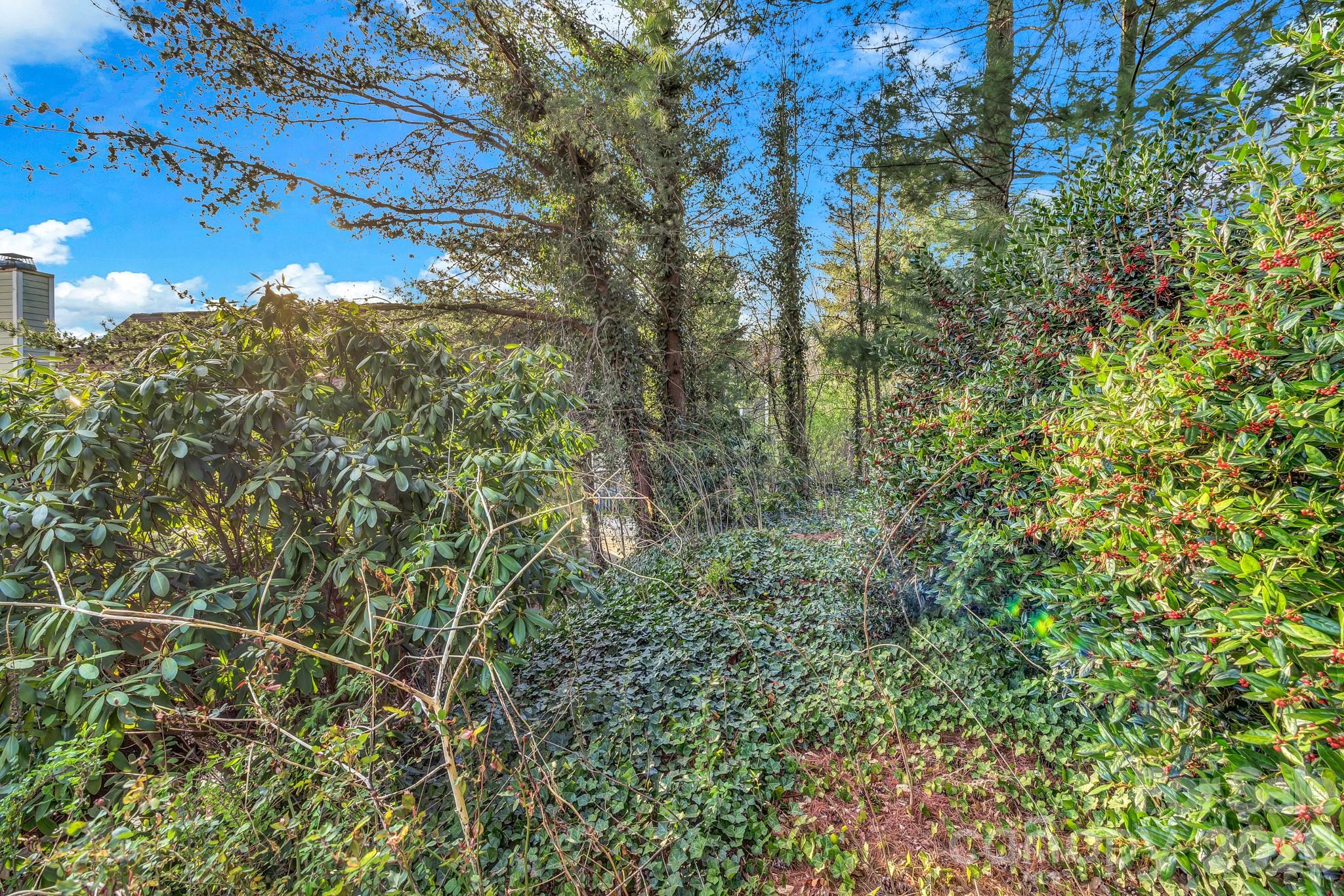 5 Veranda Trail #19 — Asheville