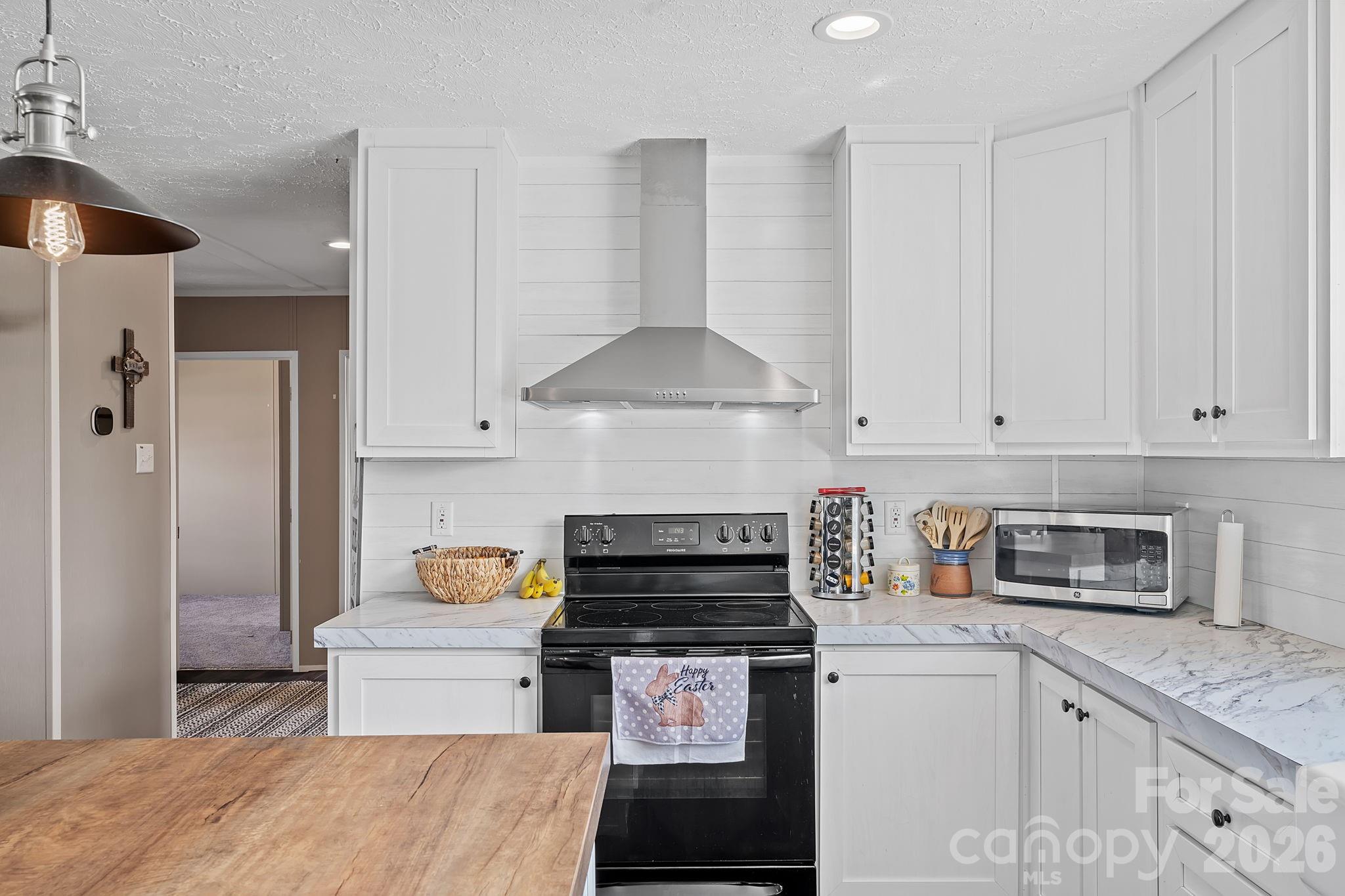 59 Alberto Way — Hendersonville