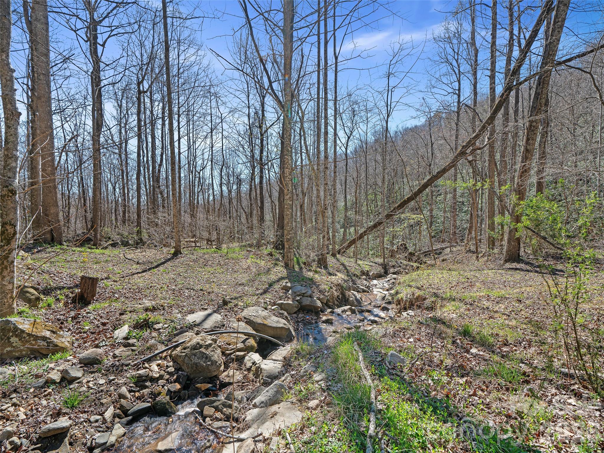 966 Waites Hollifield Road — Marion