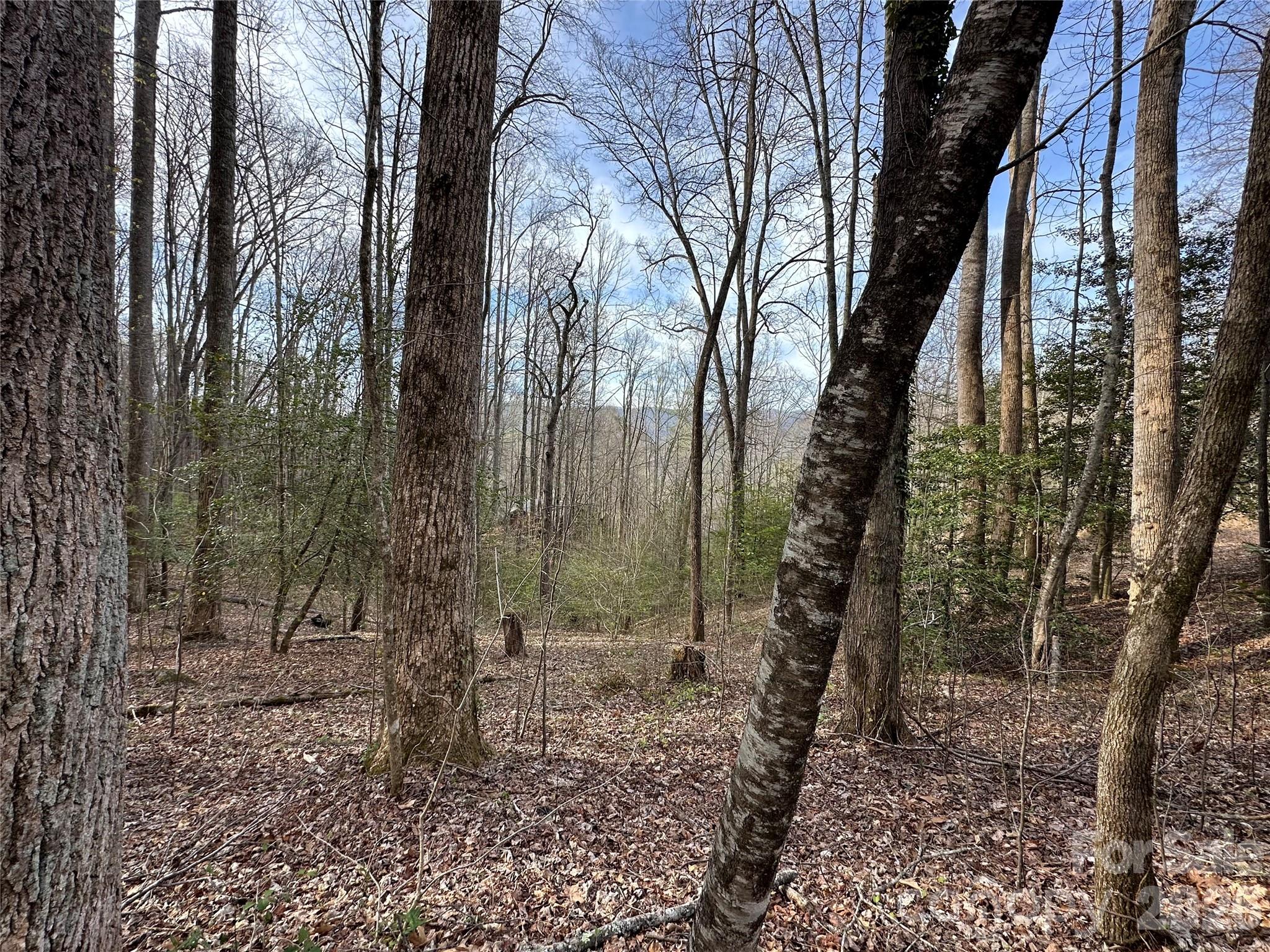 440 Holly Falls Lane — Sylva