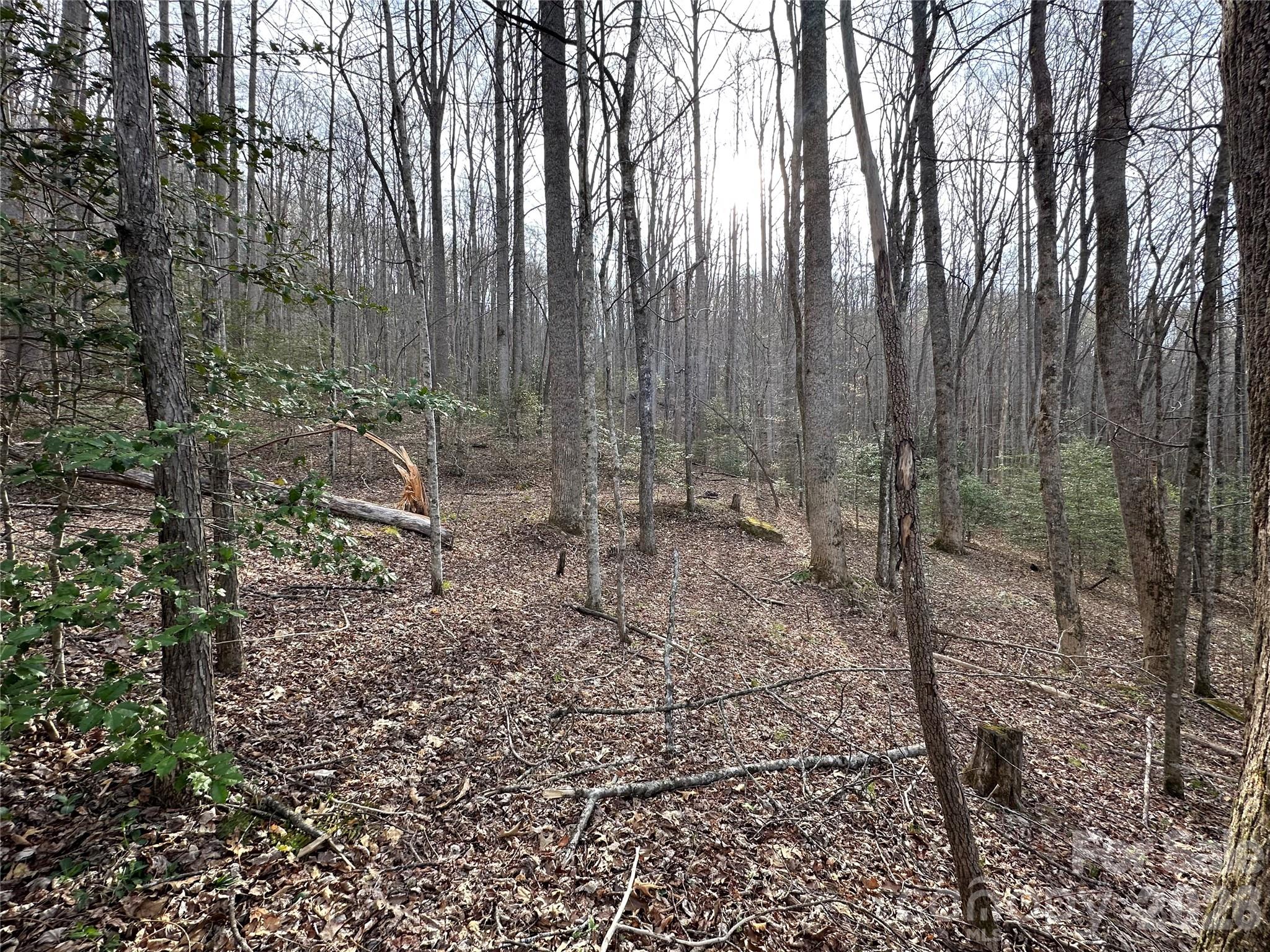 440 Holly Falls Lane — Sylva