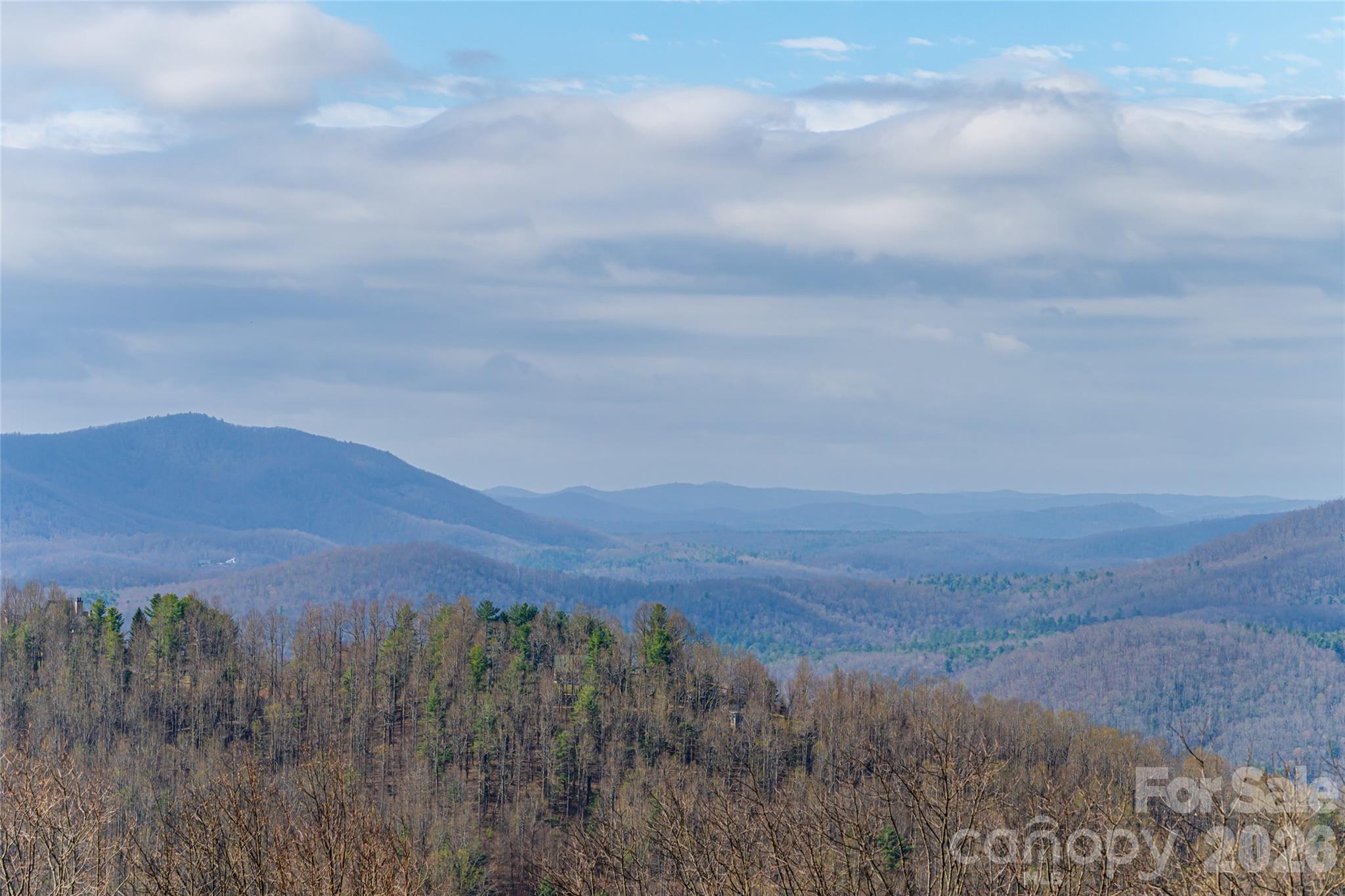 1203 Fleetwood Plaza — Hendersonville