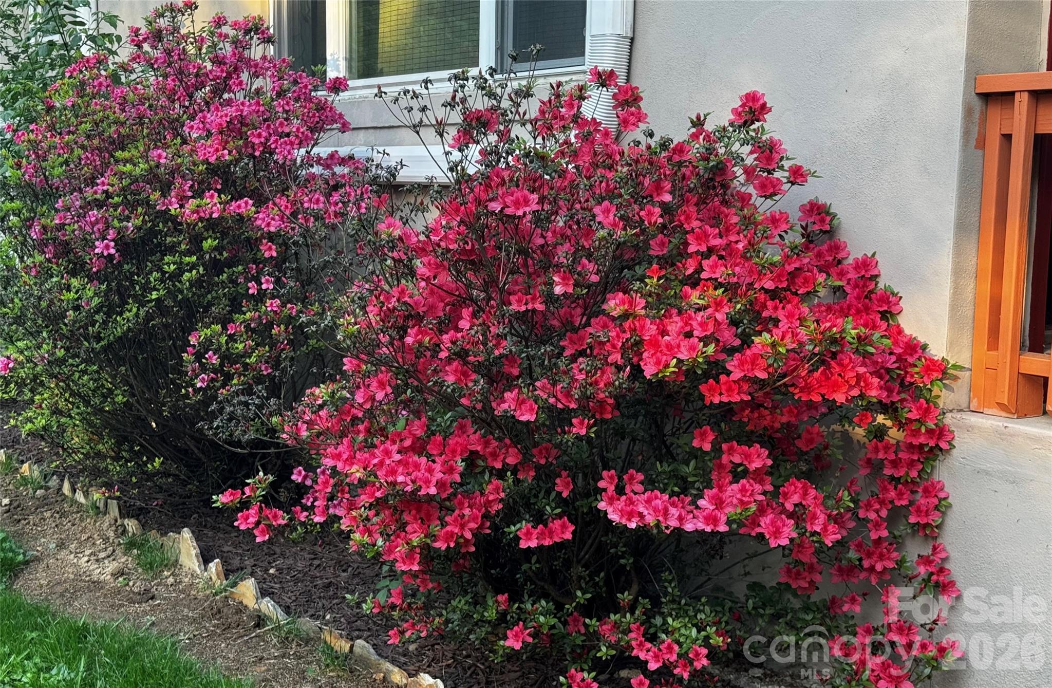 450 W Piney Mountain Road — Whittier