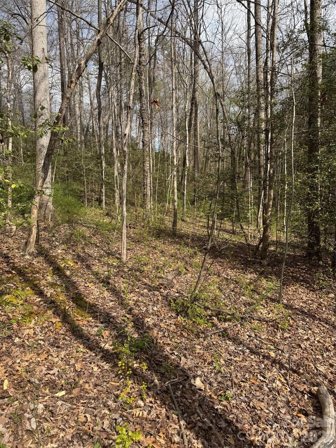 315 N River Road — Sylva