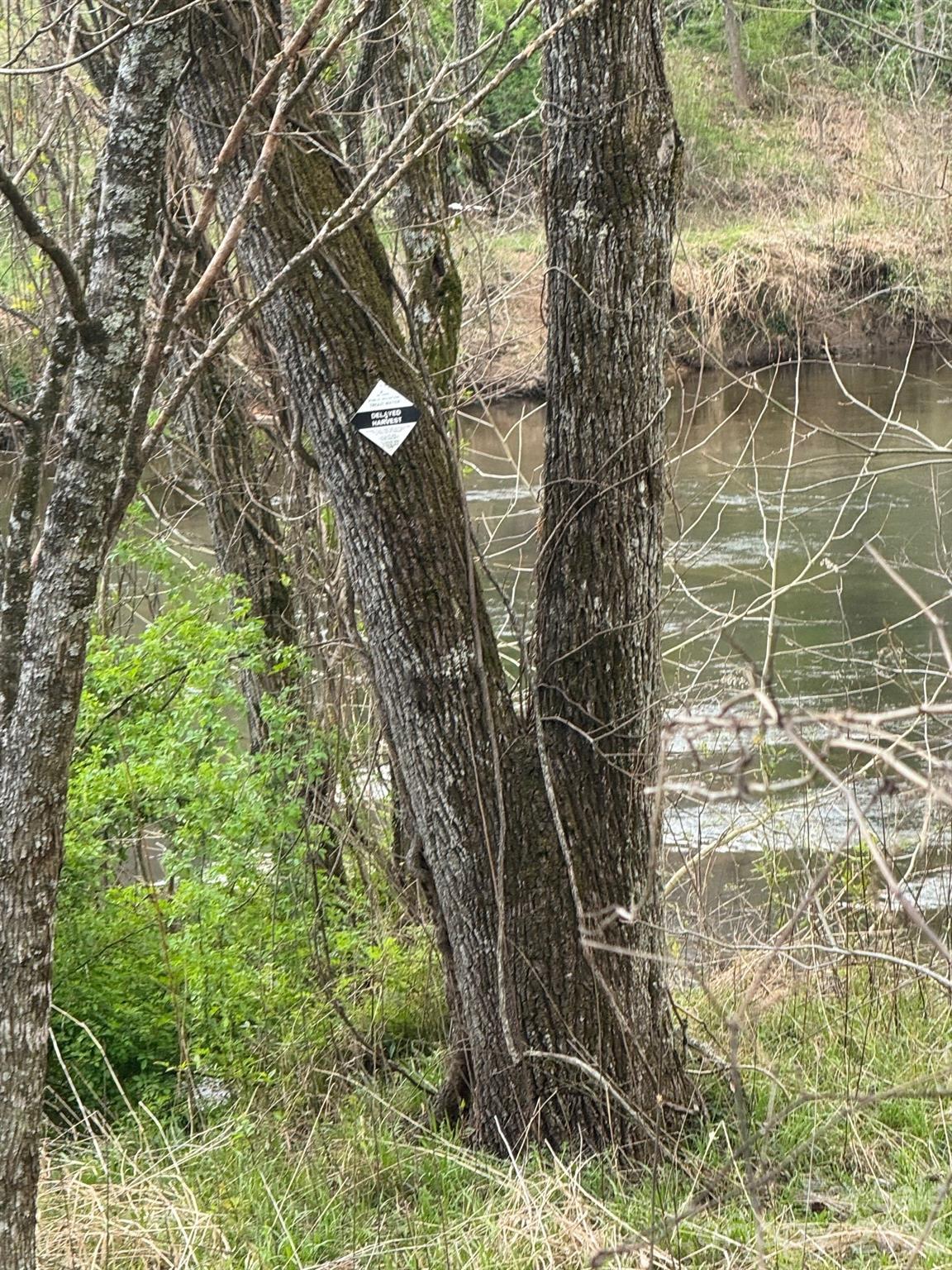 315 N River Road — Sylva