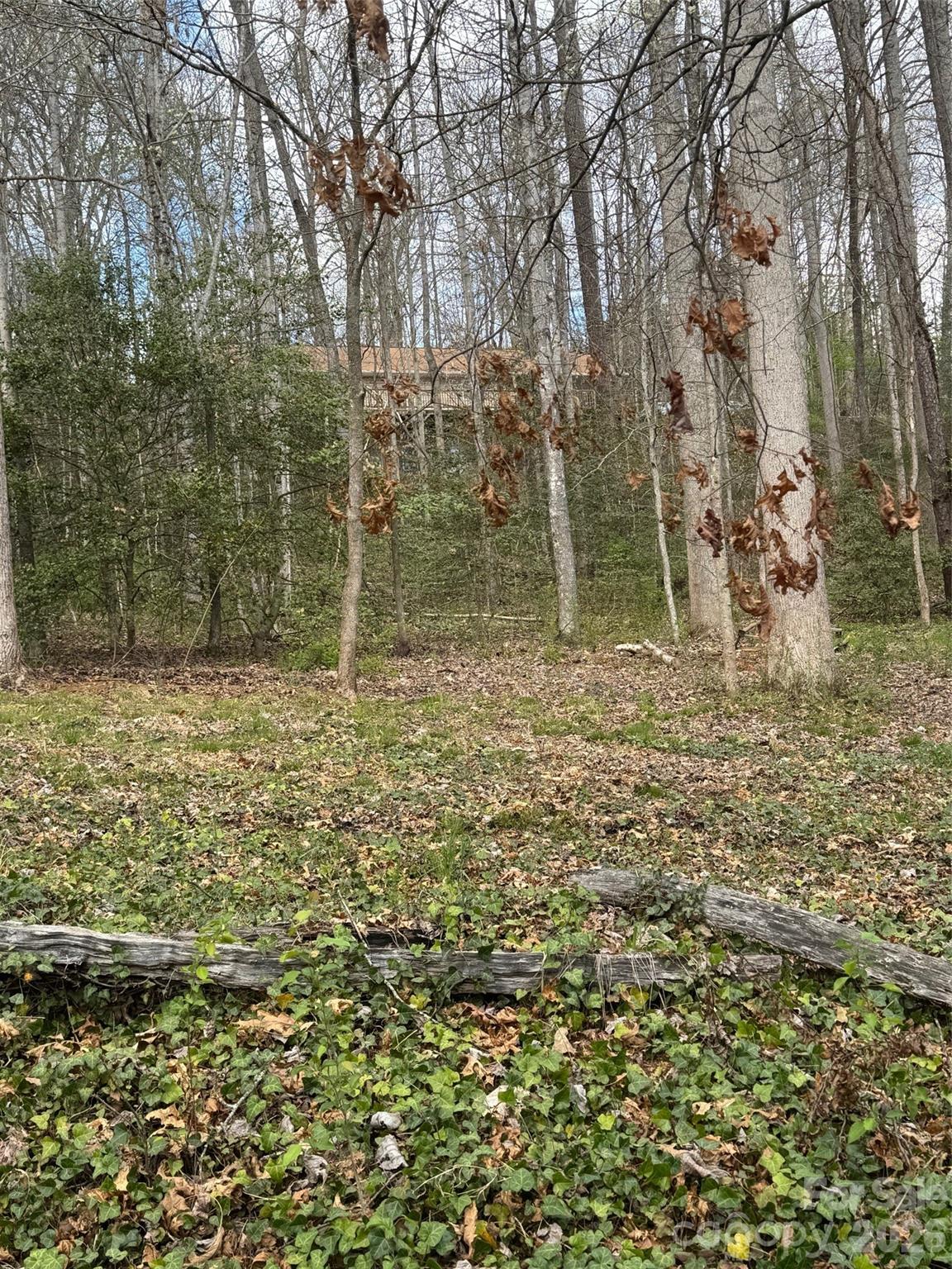 315 N River Road — Sylva